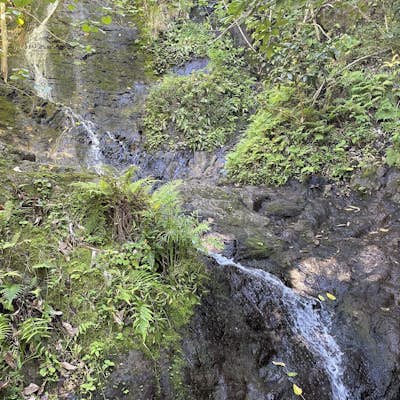 Likeke Falls Trail