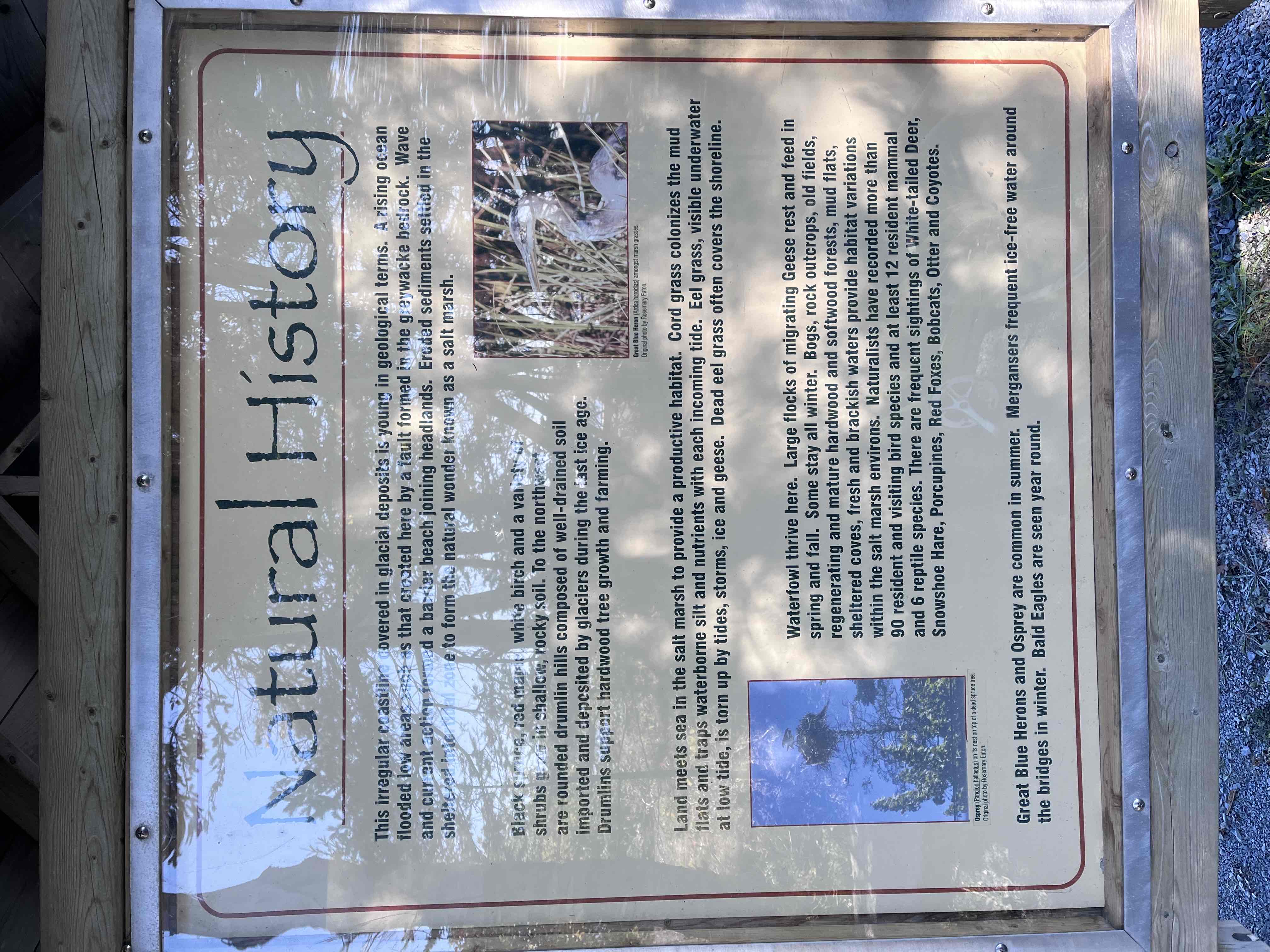 Salt Marsh Trail to Lawrencetown Beach