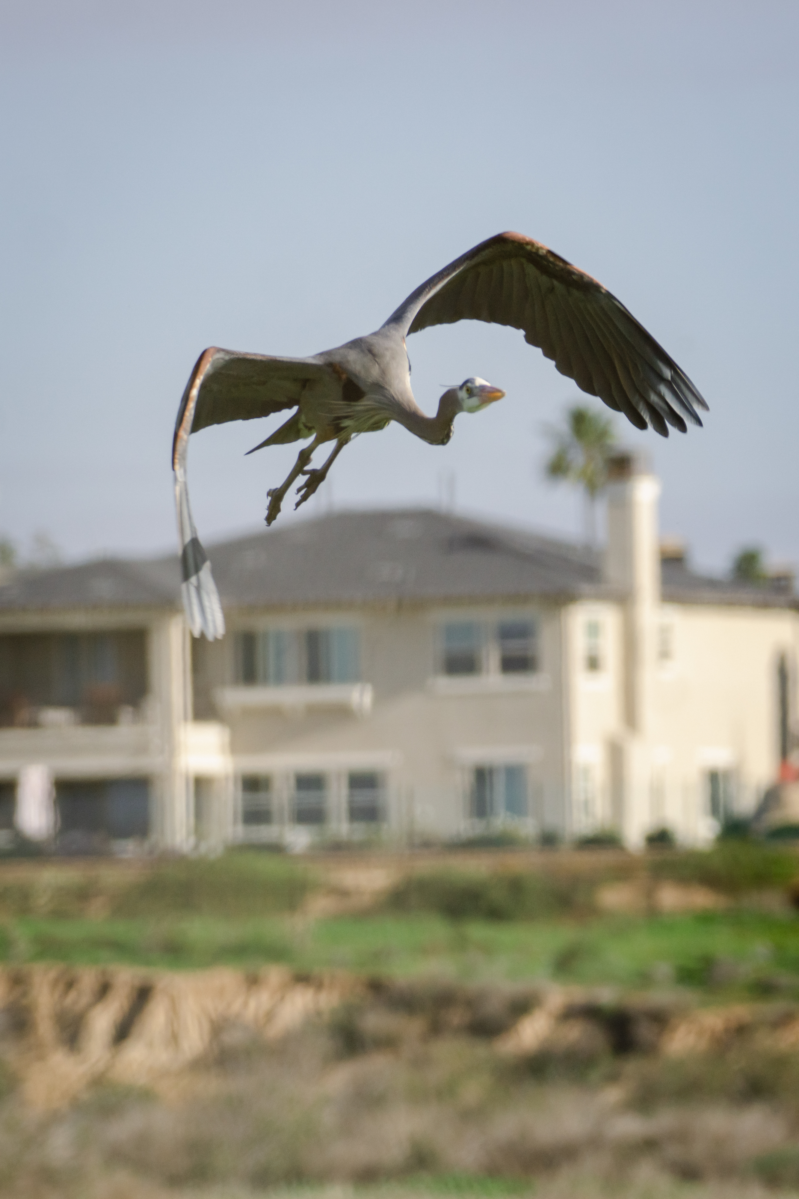Bolsa Chica Ecological Reserve Trail