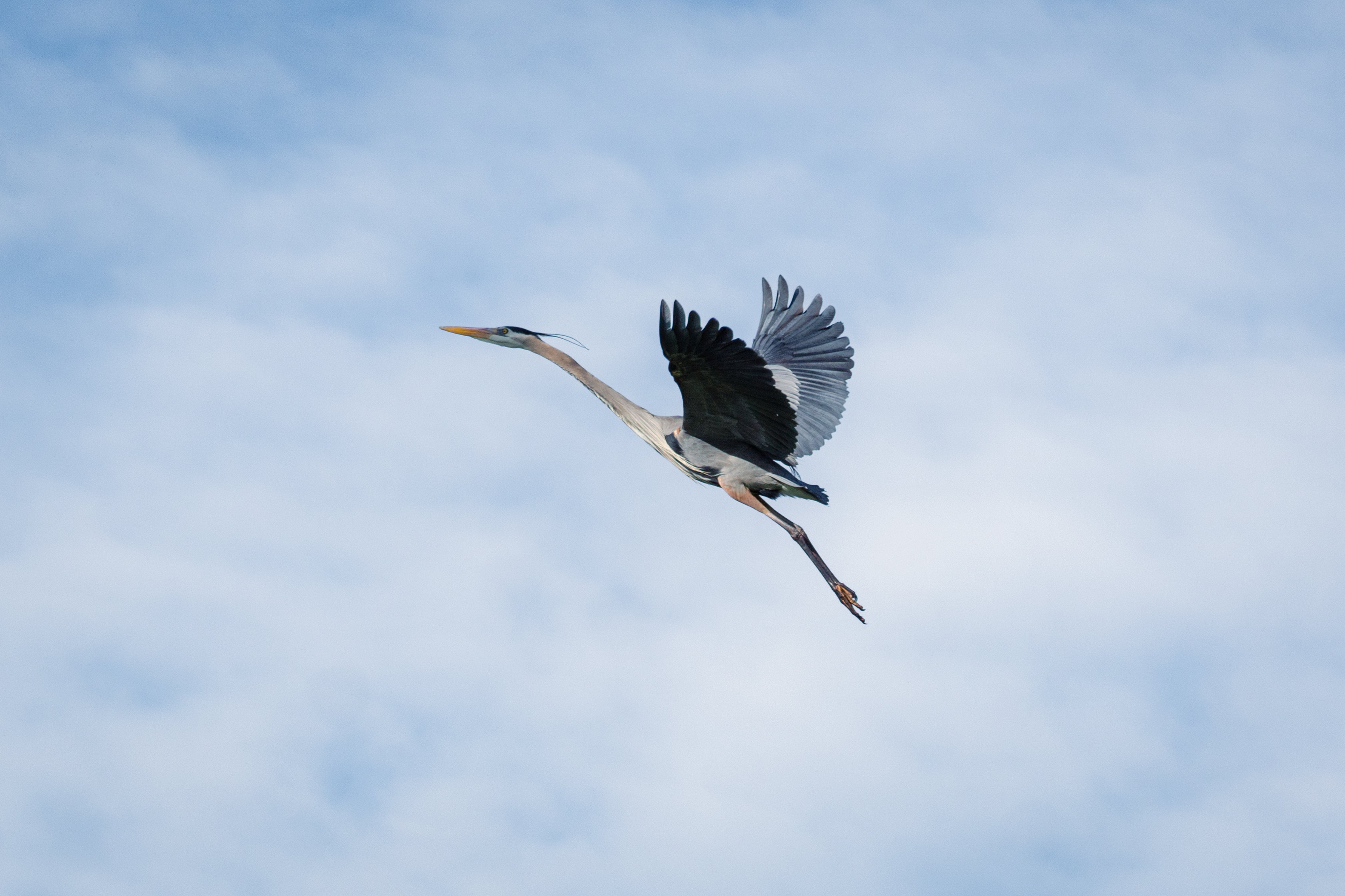Bolsa Chica Ecological Reserve Trail