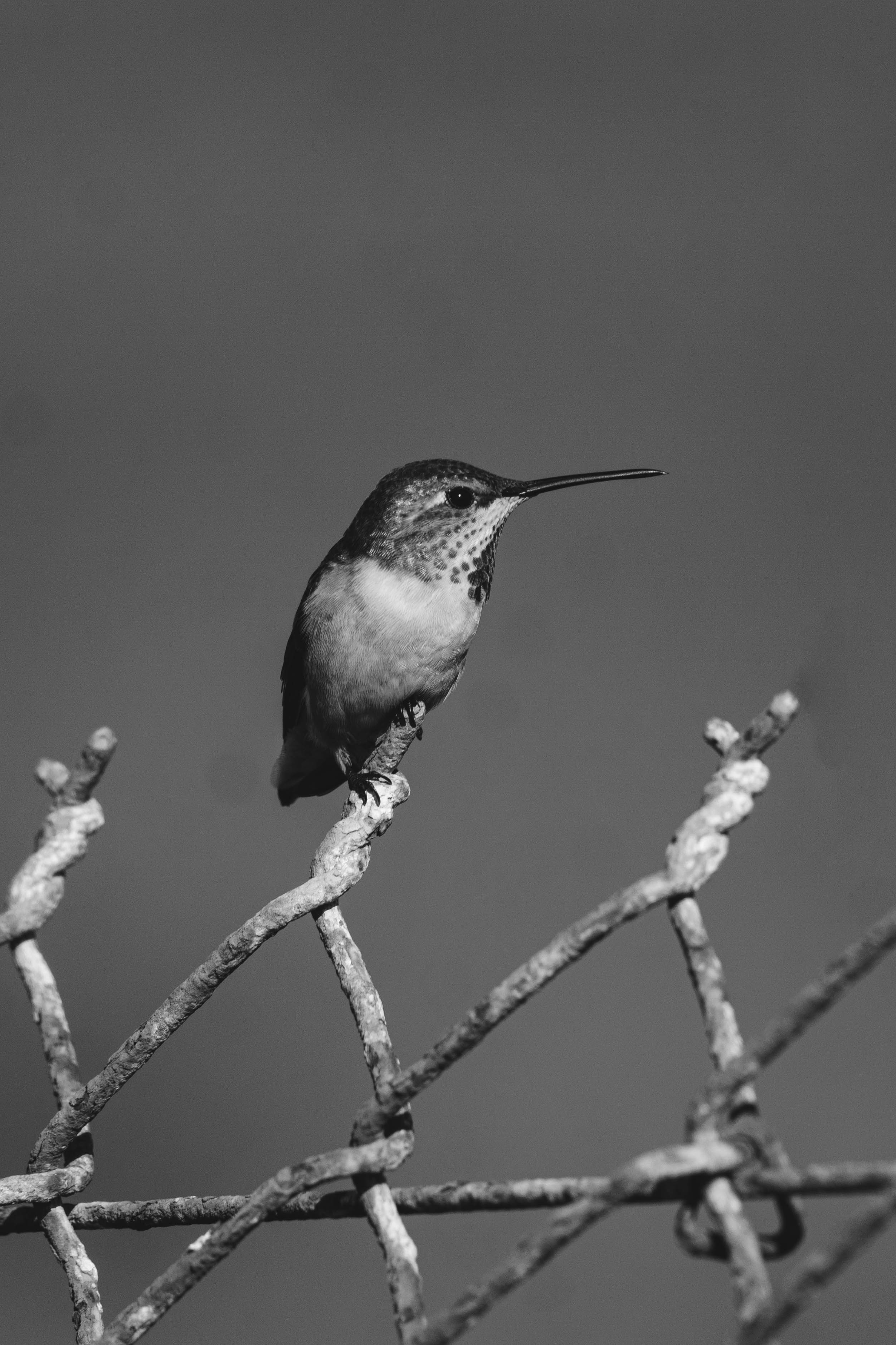 Bolsa Chica Ecological Reserve Trail