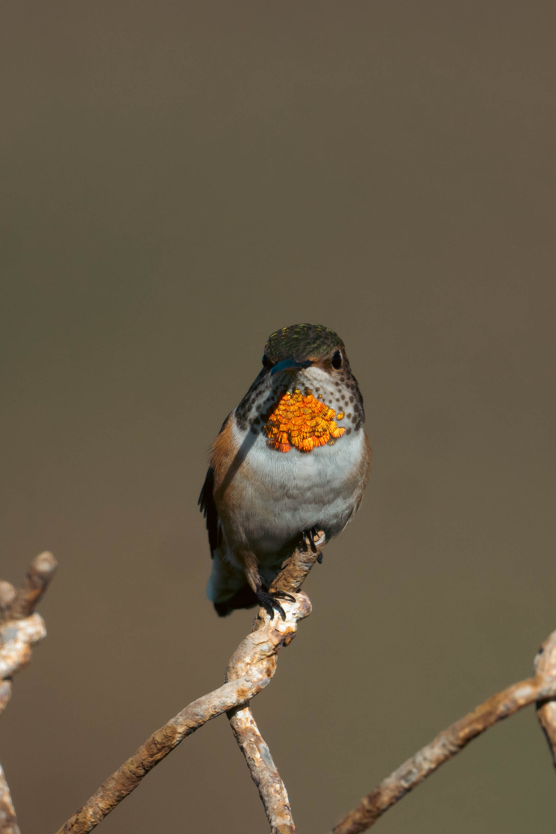 Bolsa Chica Ecological Reserve Trail