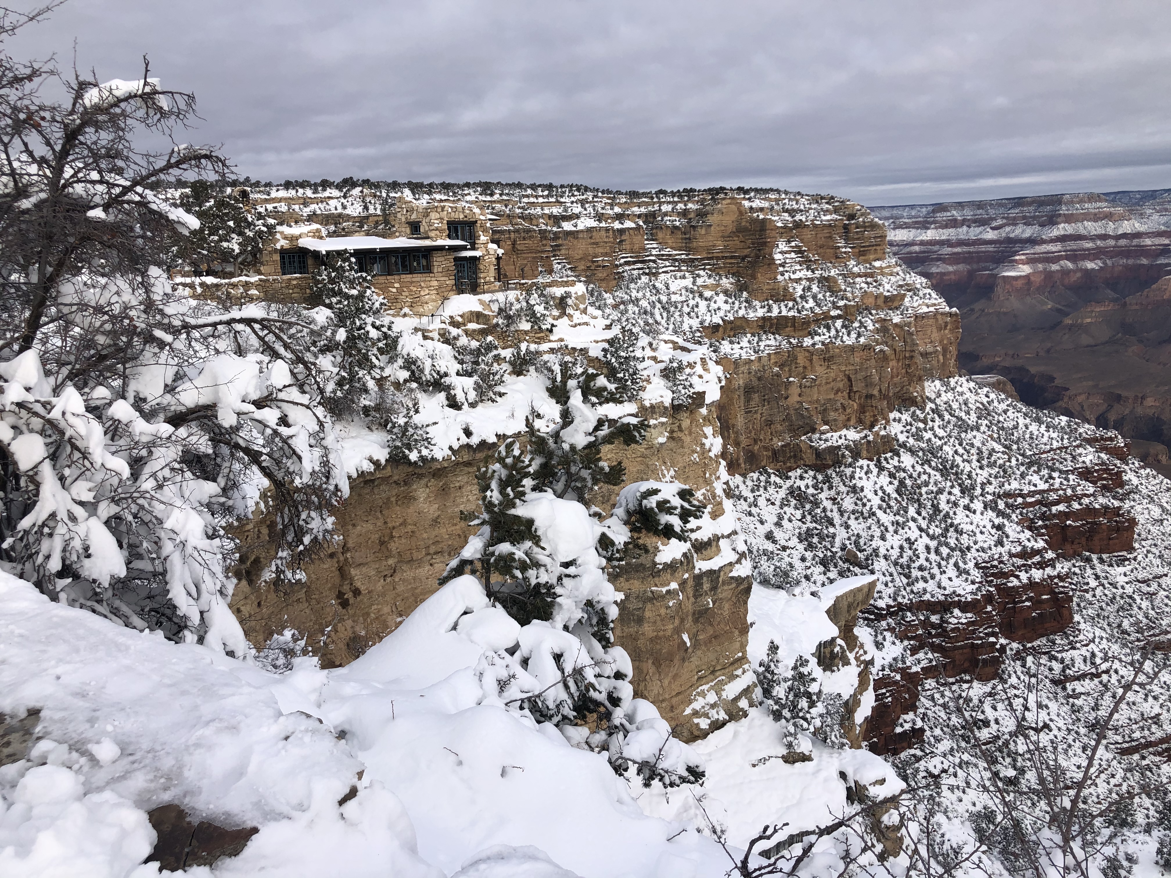 Explore the Grand Canyon in Winter