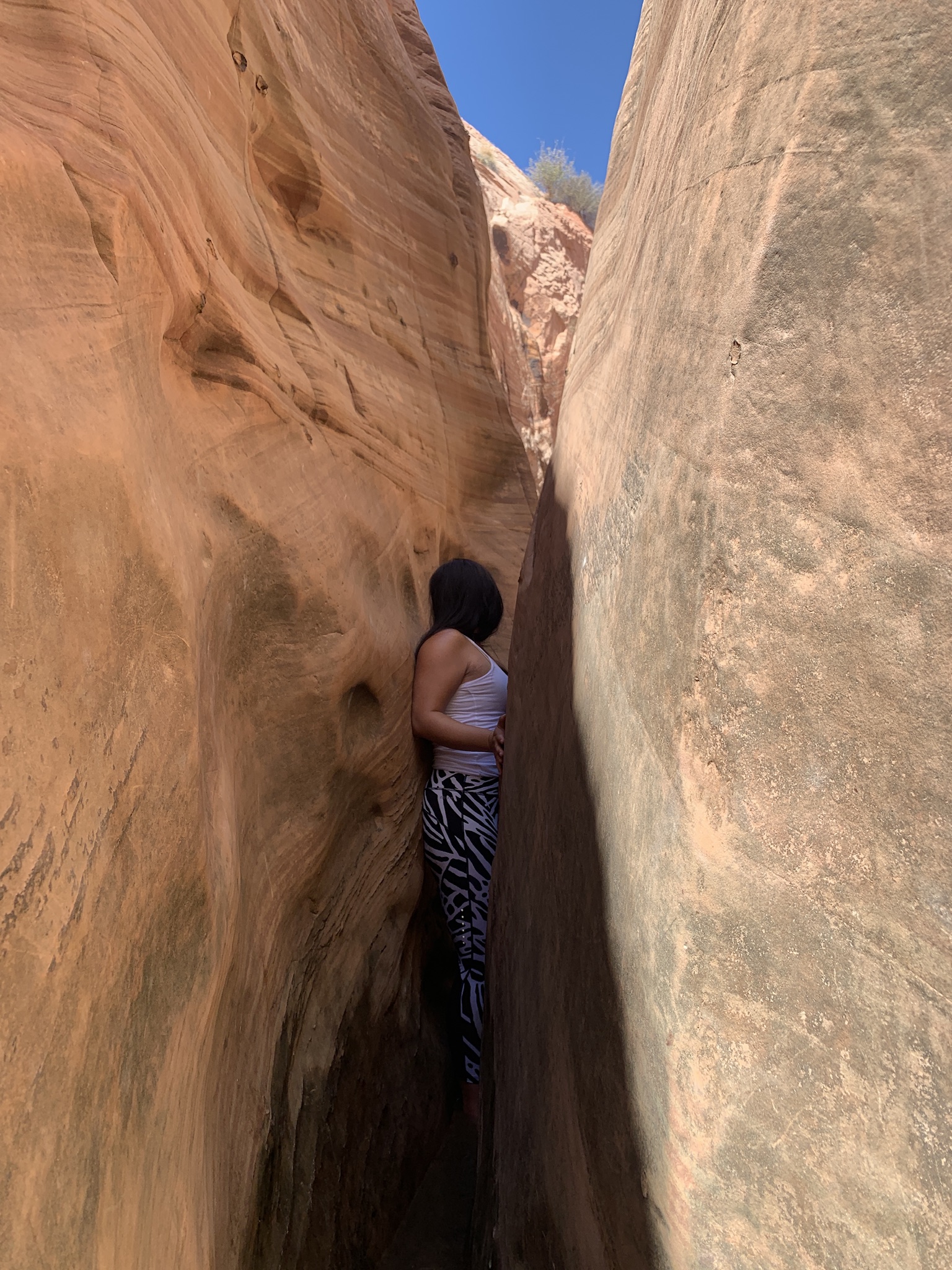 Zebra and Tunnel Slot Canyons Loop