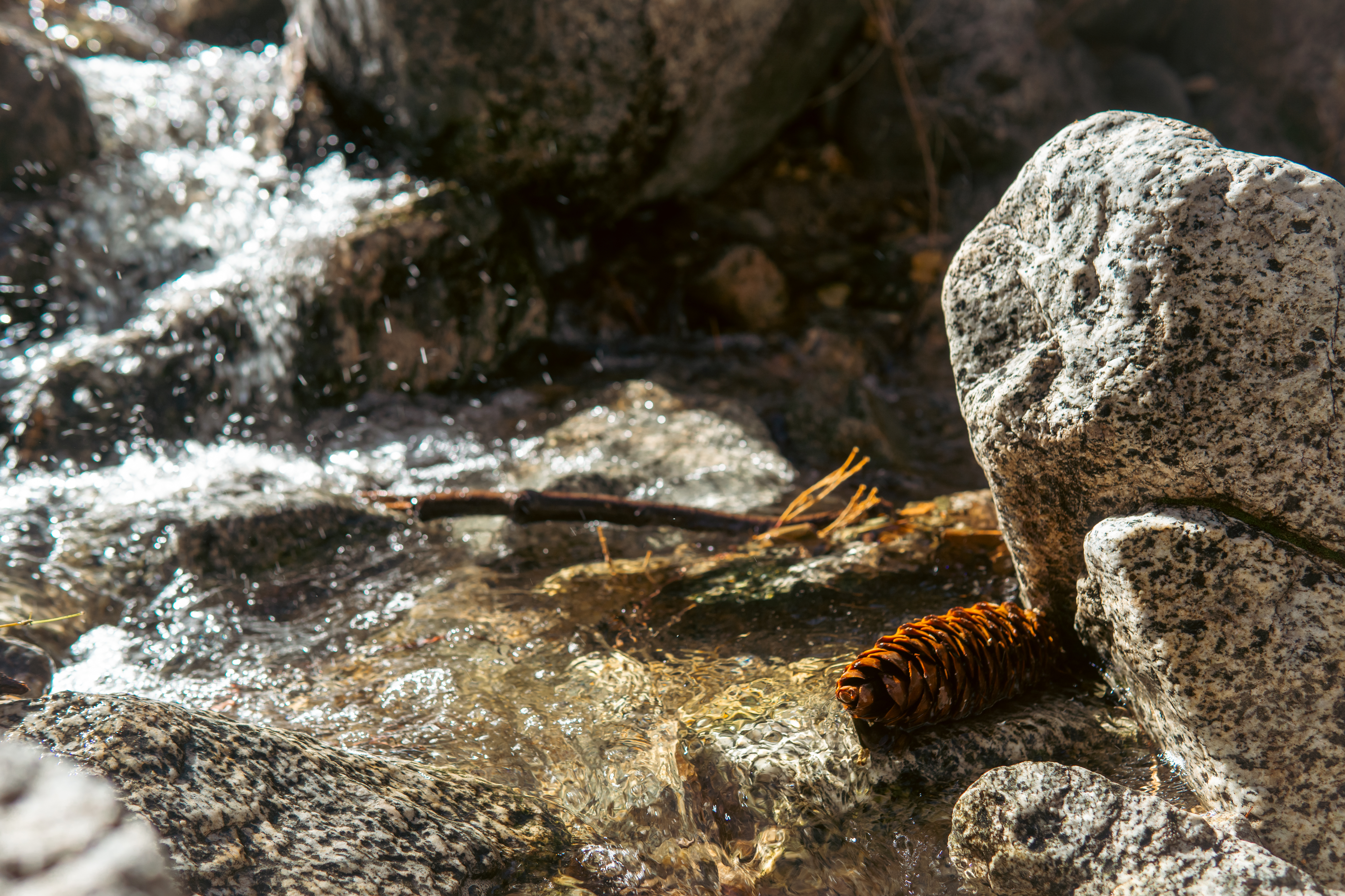 Cooper Canyon Falls via Burkhart Trail
