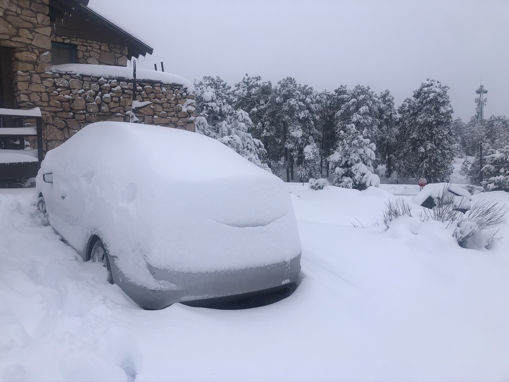 Explore the Grand Canyon in Winter