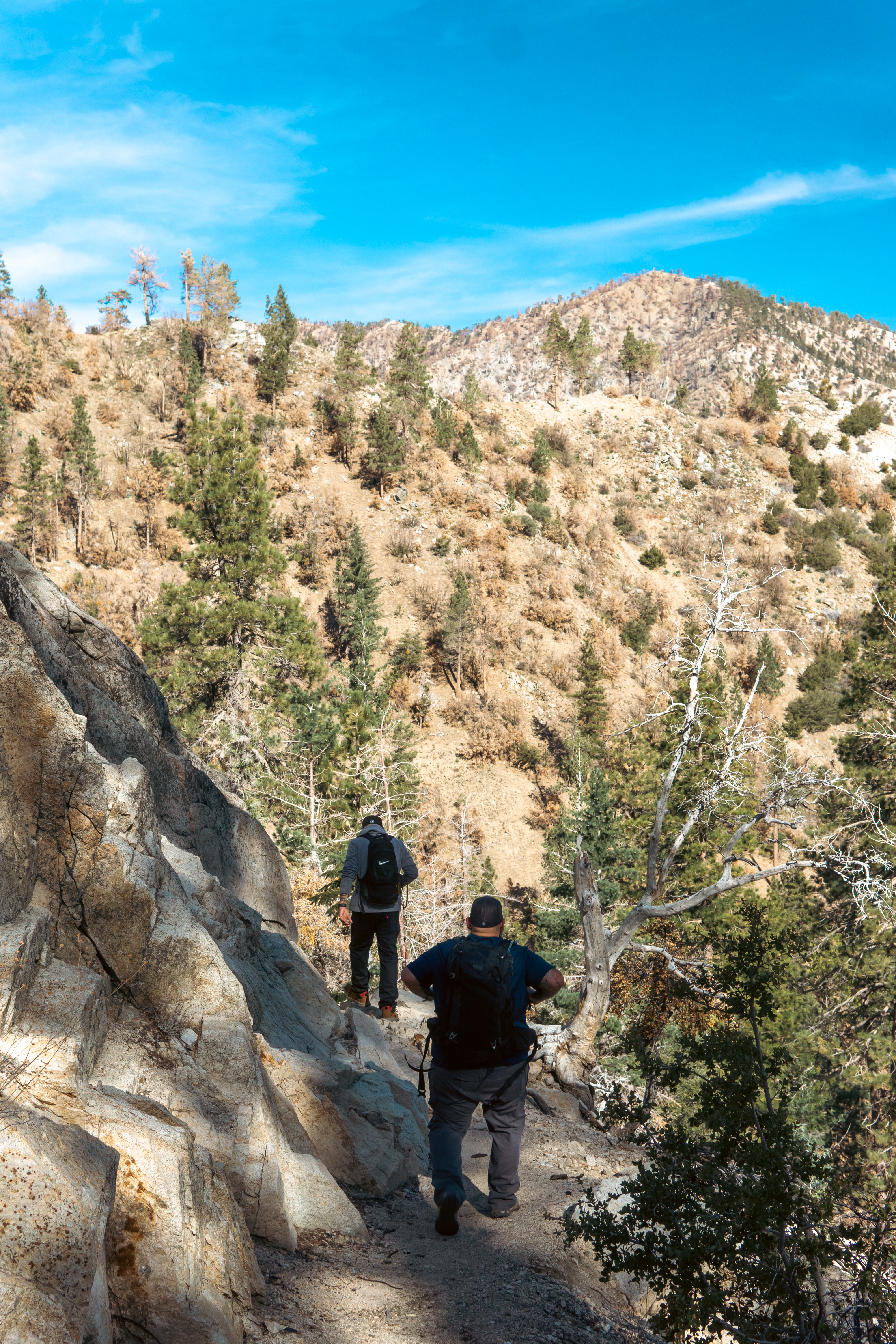 Cooper Canyon Falls via Burkhart Trail