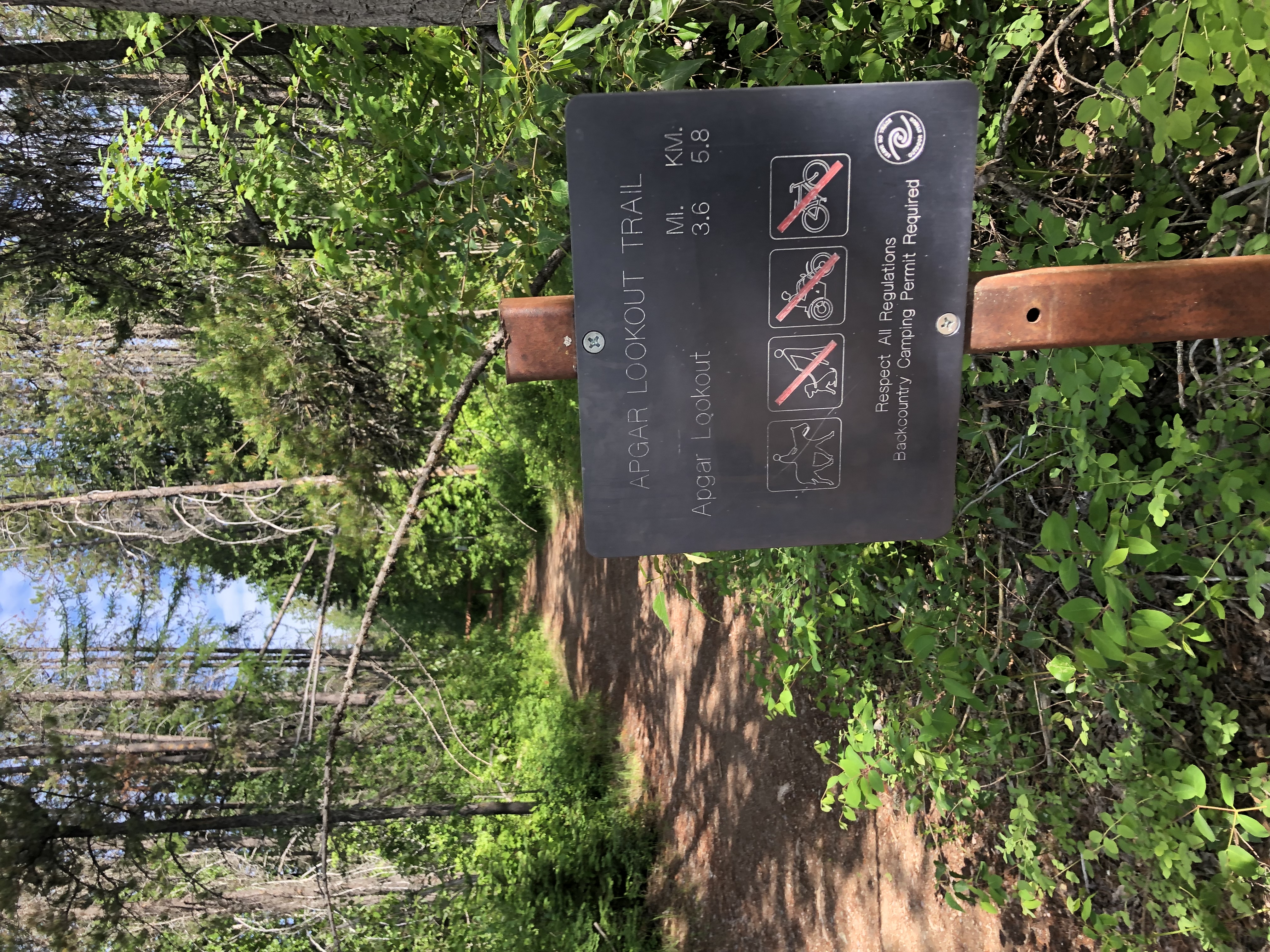 Apgar Lookout