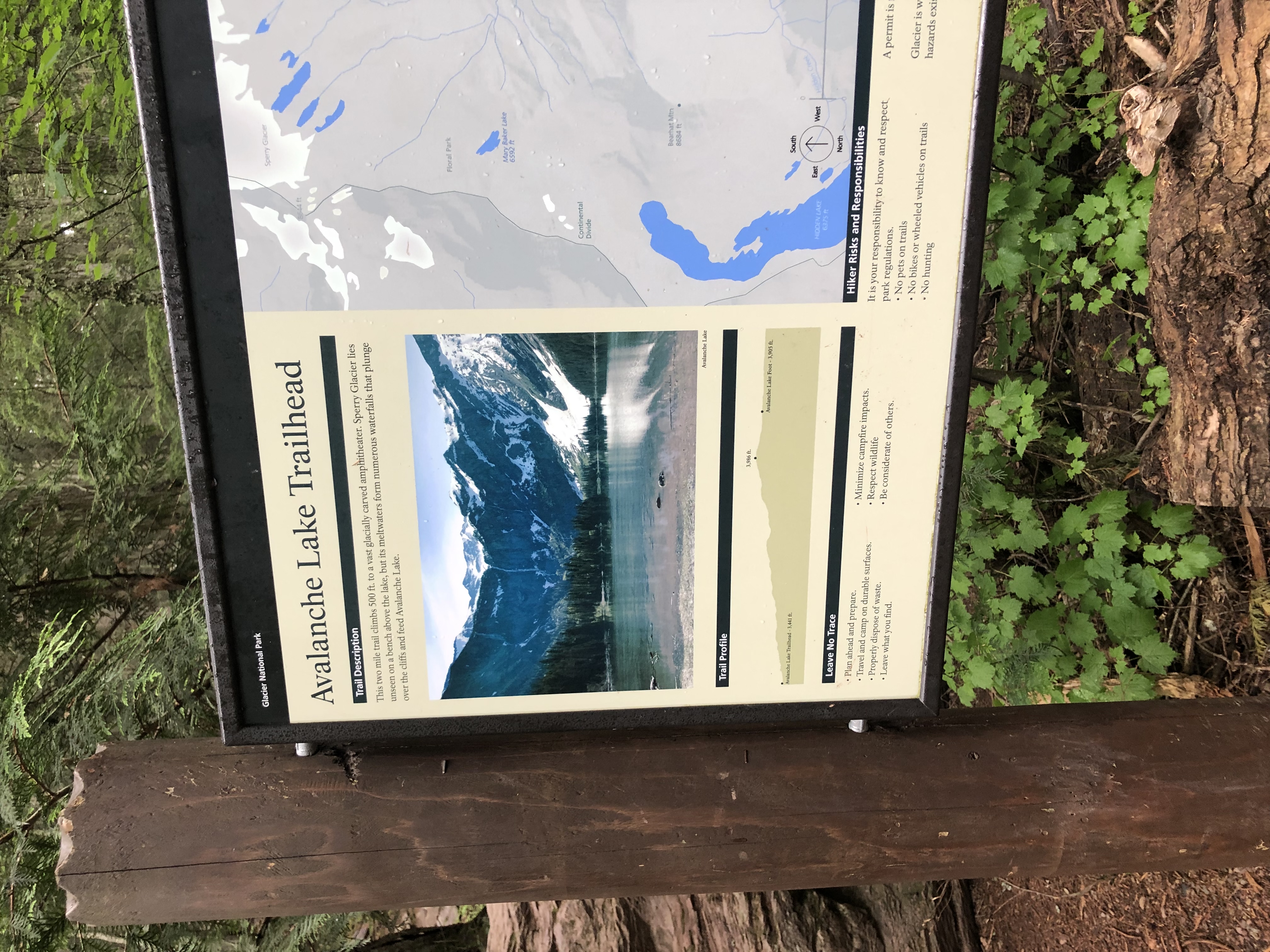 Avalanche Lake via Trail of Cedars