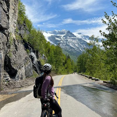 Bike Glacier's Going to the Sun Road
