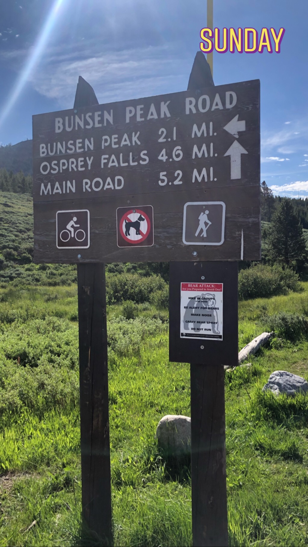 Hike Bunsen Peak