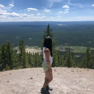 Purple Mountain Trail