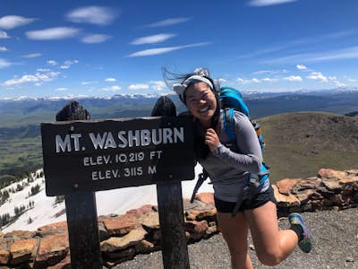 Mt. Washburn via South Trail 