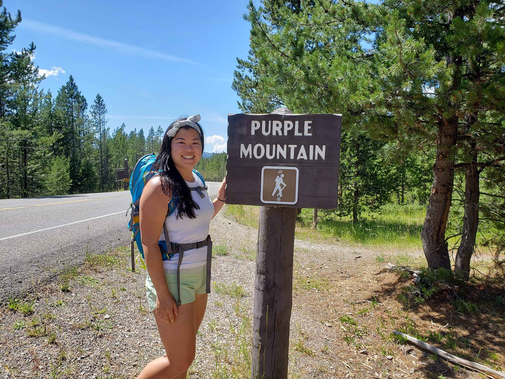 Purple Mountain Trail