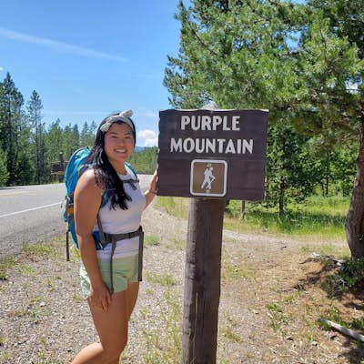 Purple Mountain Trail