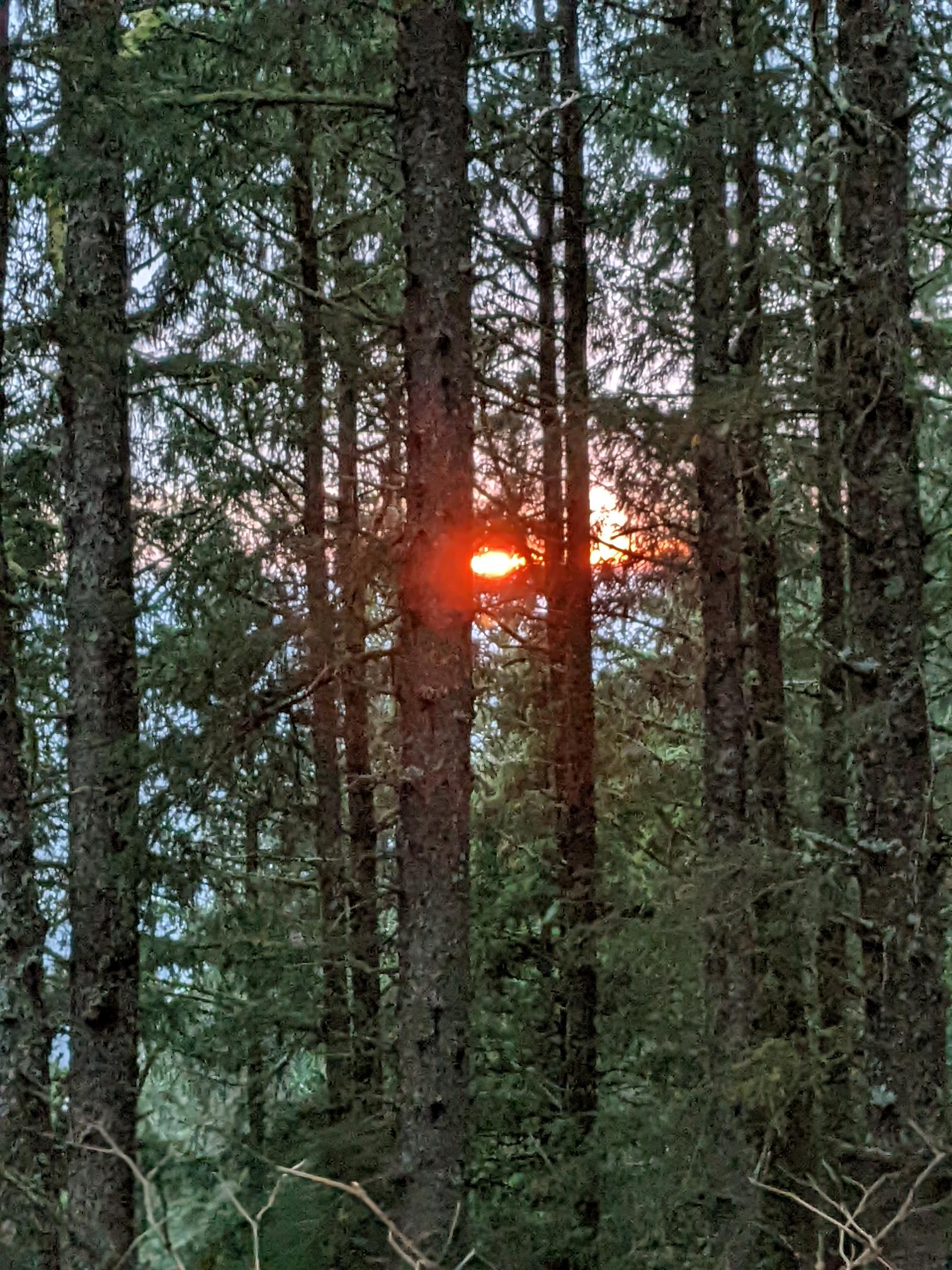 North Trail