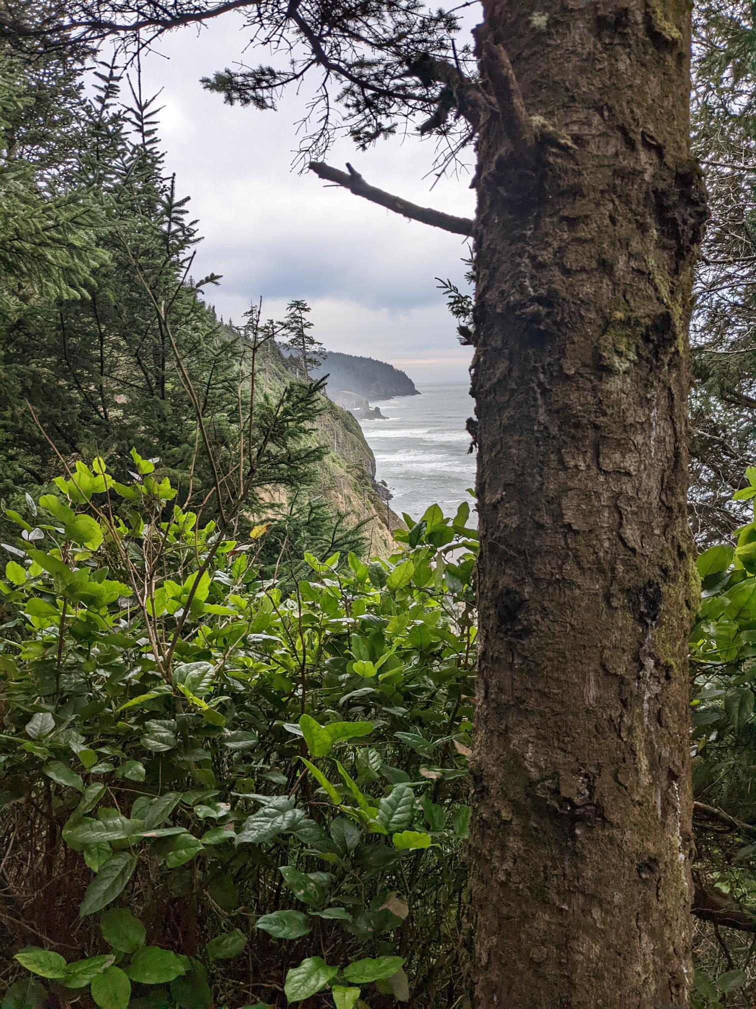 North Trail