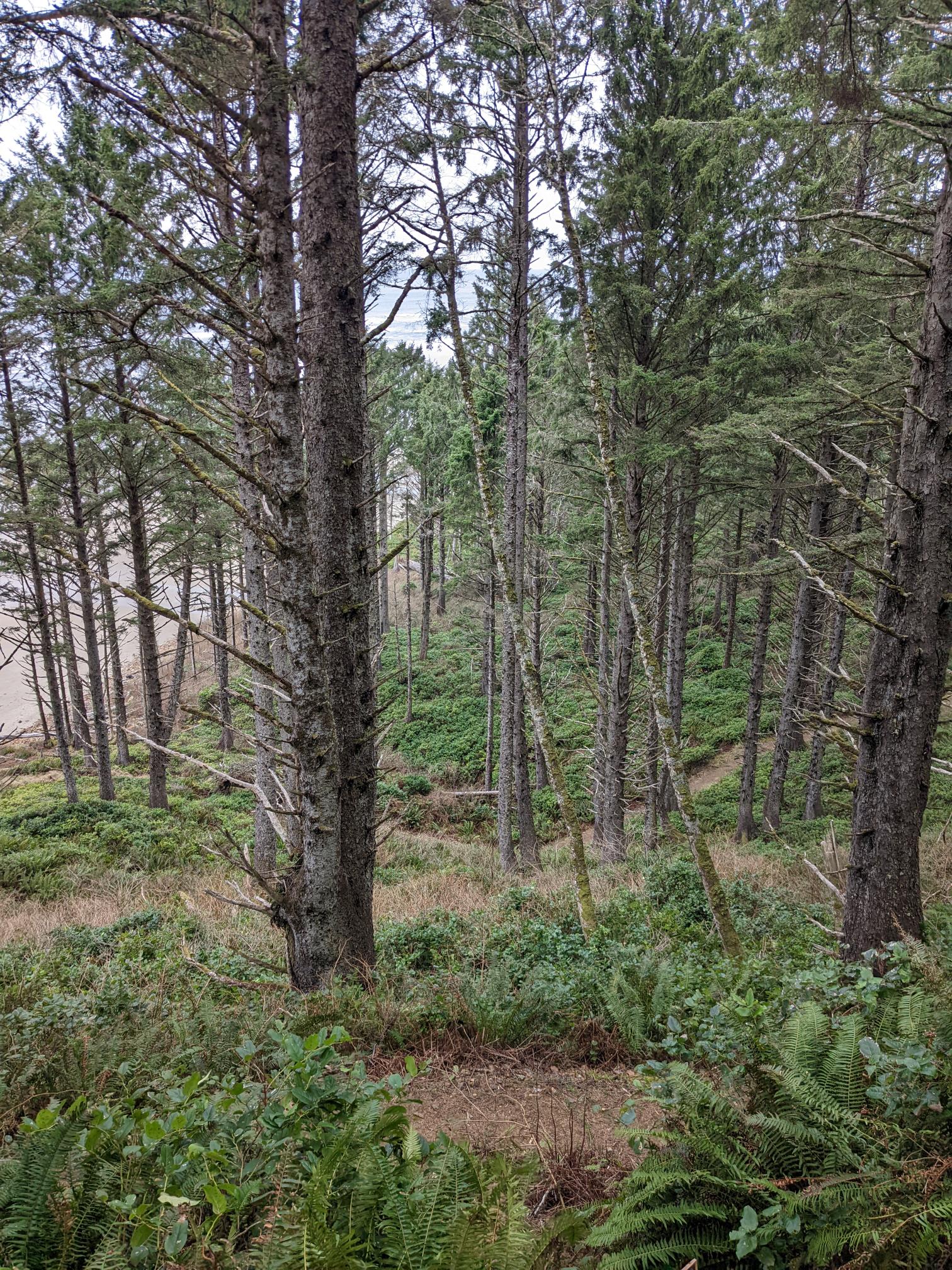 North Trail, Cloverdale, Oregon