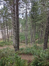 North Trail
