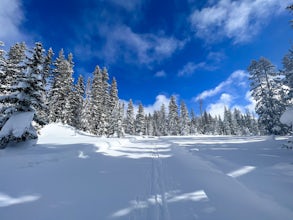 Grand Mesa County Line Loop