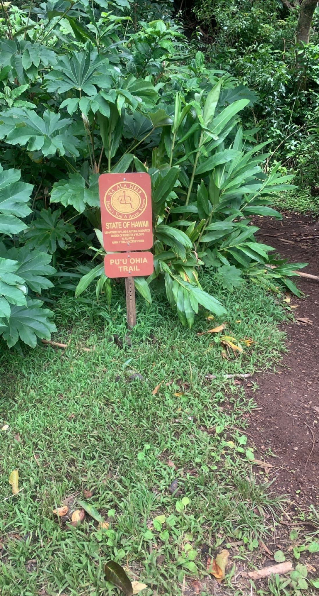 Pu'u Ohia (Mount Tantalus)