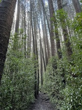 Judd Trail Mountain View