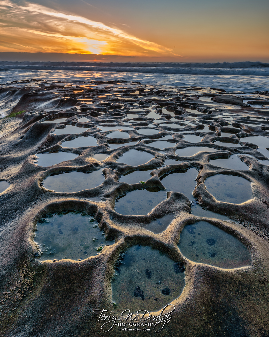 Photographing Hospitals Reef