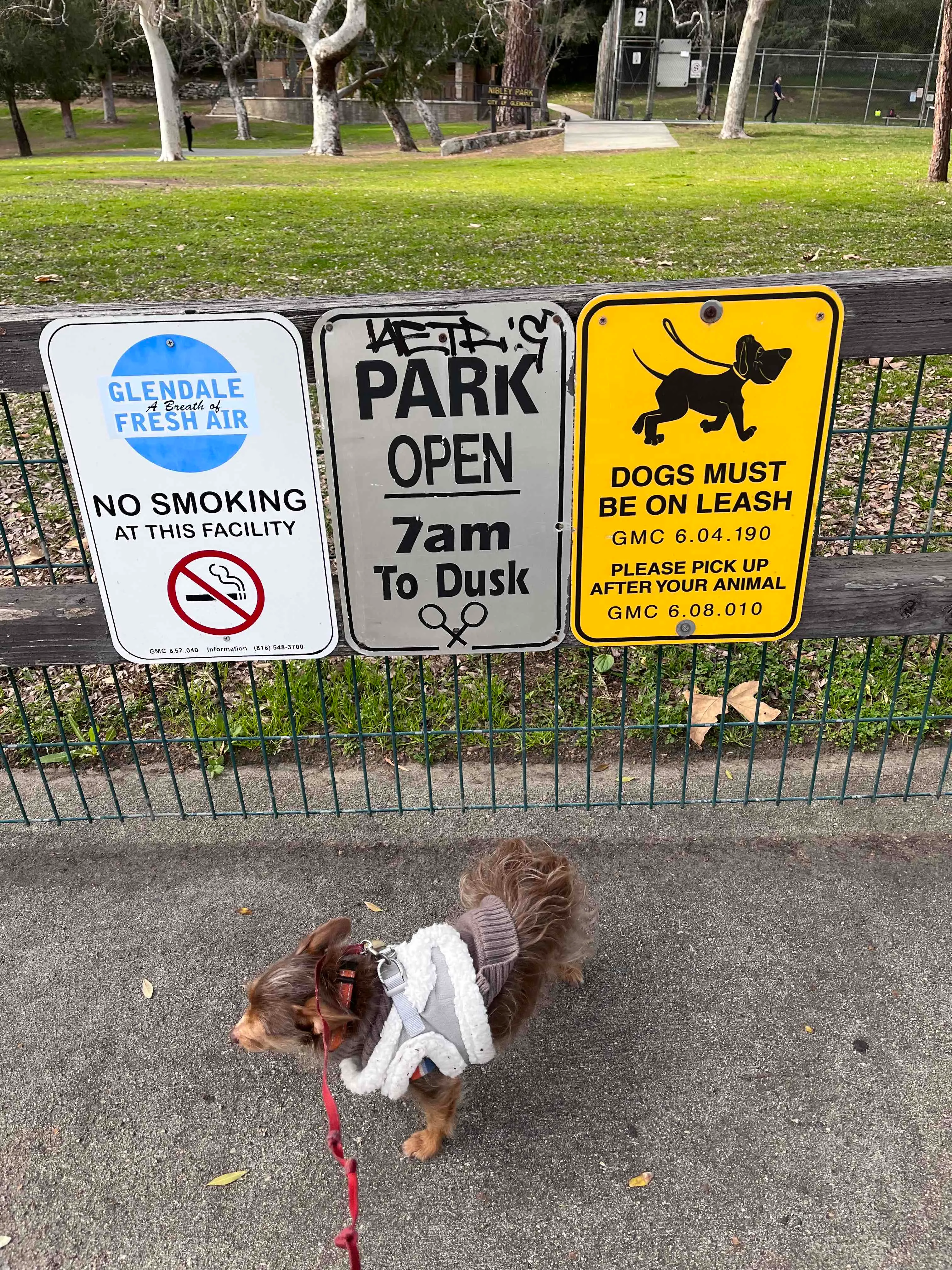 Nibley Park