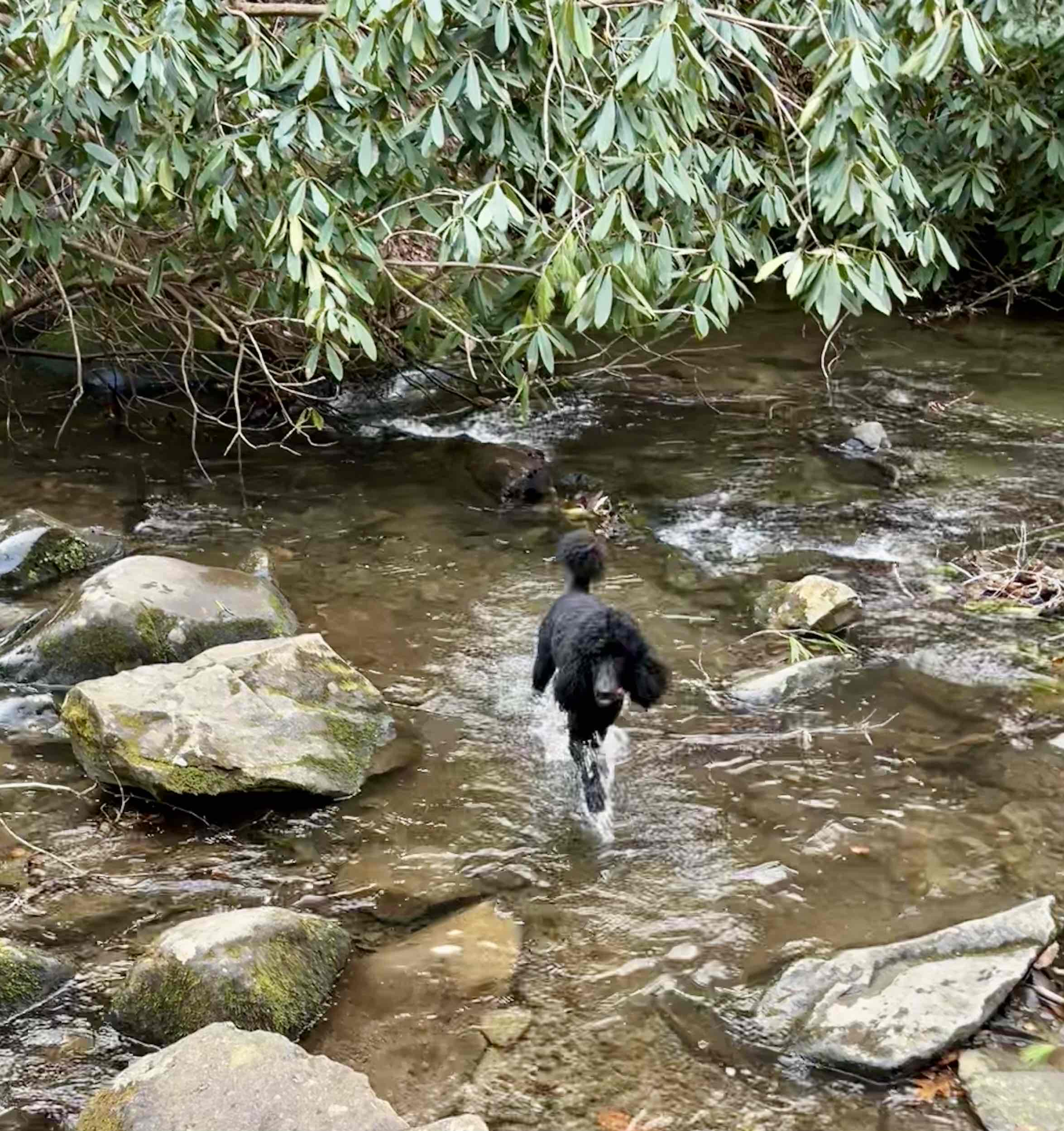 Hike to Upper Meigs Falls