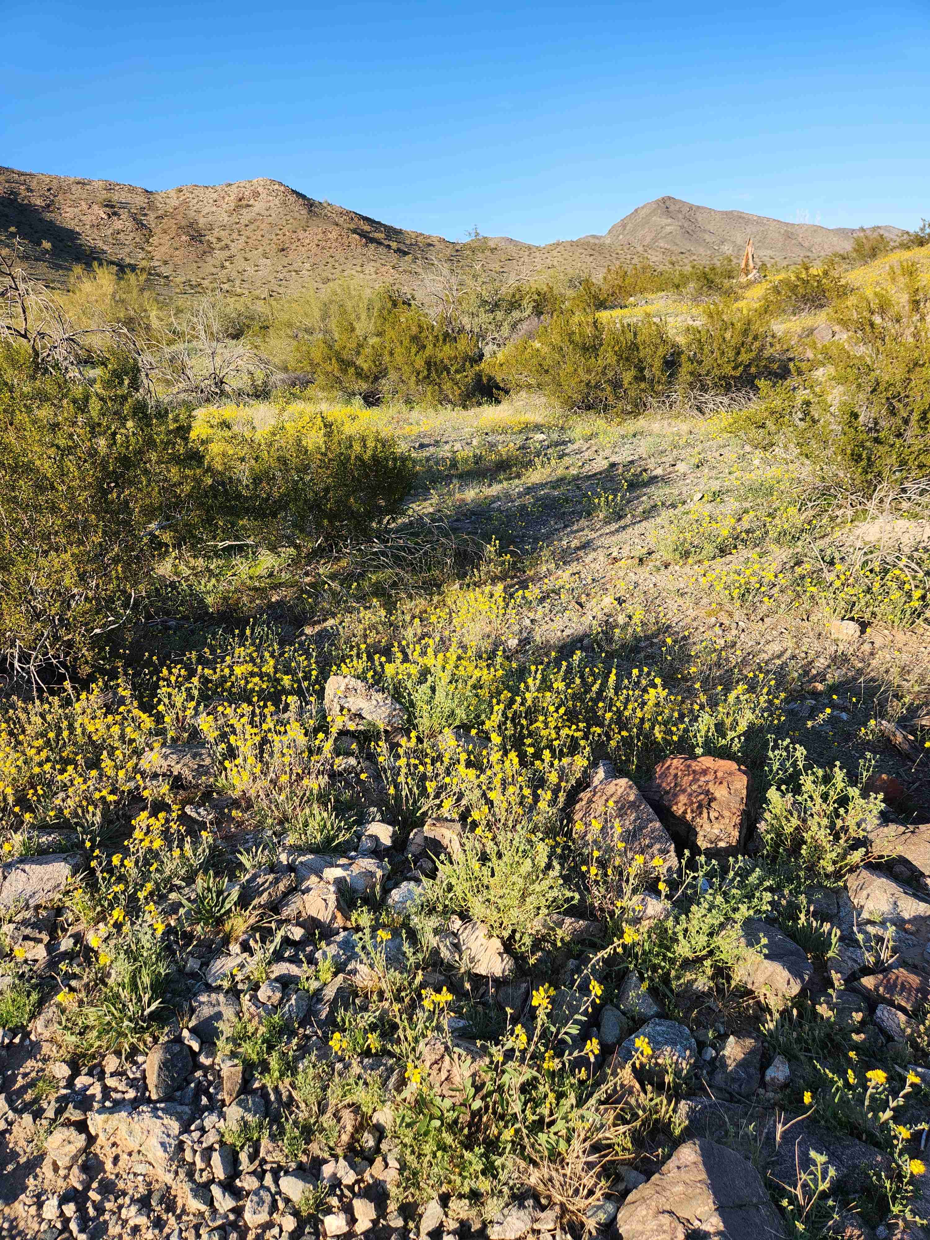 Lost Ranch Ruins Trail to Lost Ranch Mines Trail Loop