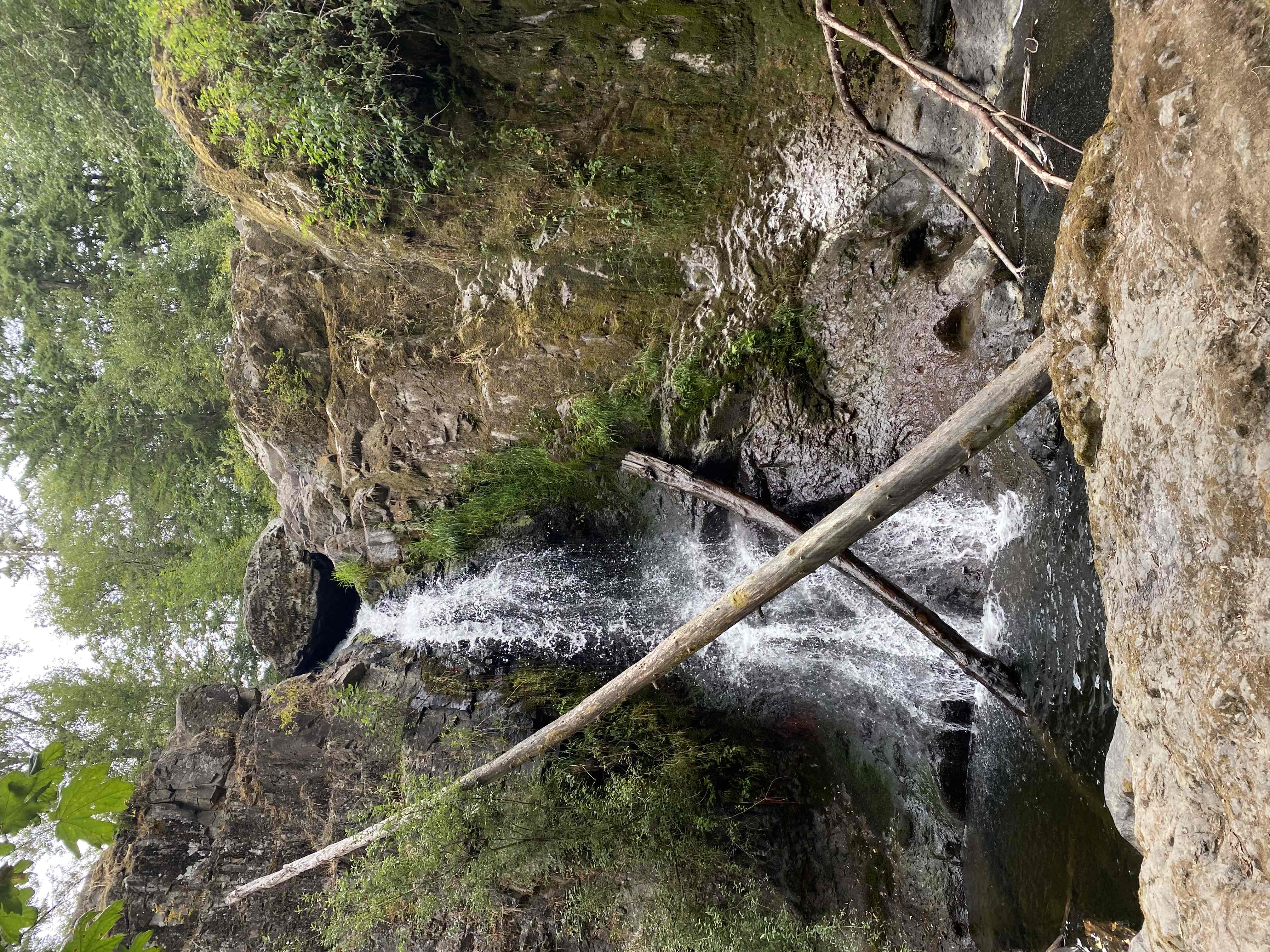 Hike to Little Mashel Falls 
