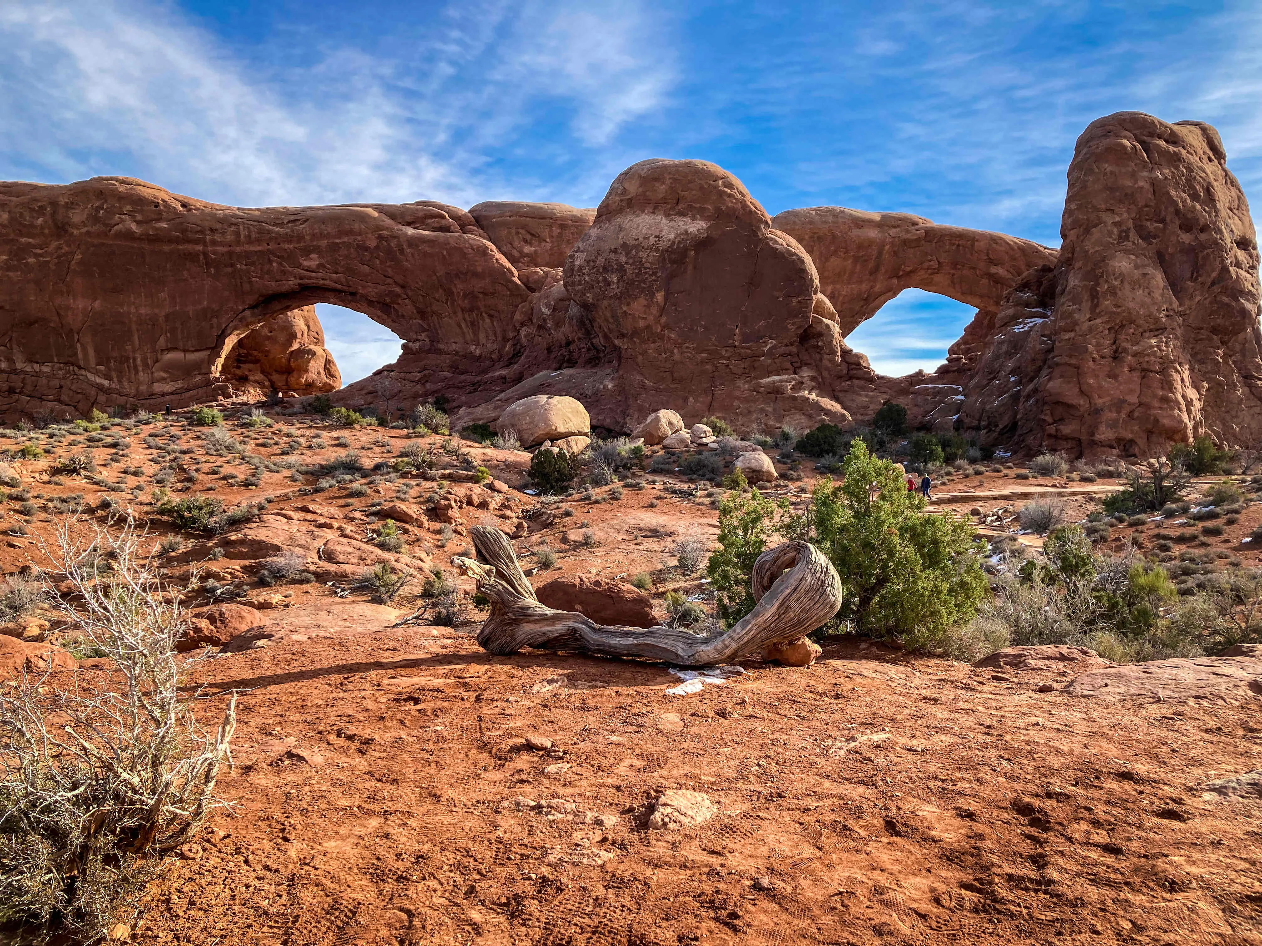 Window Arch Loop