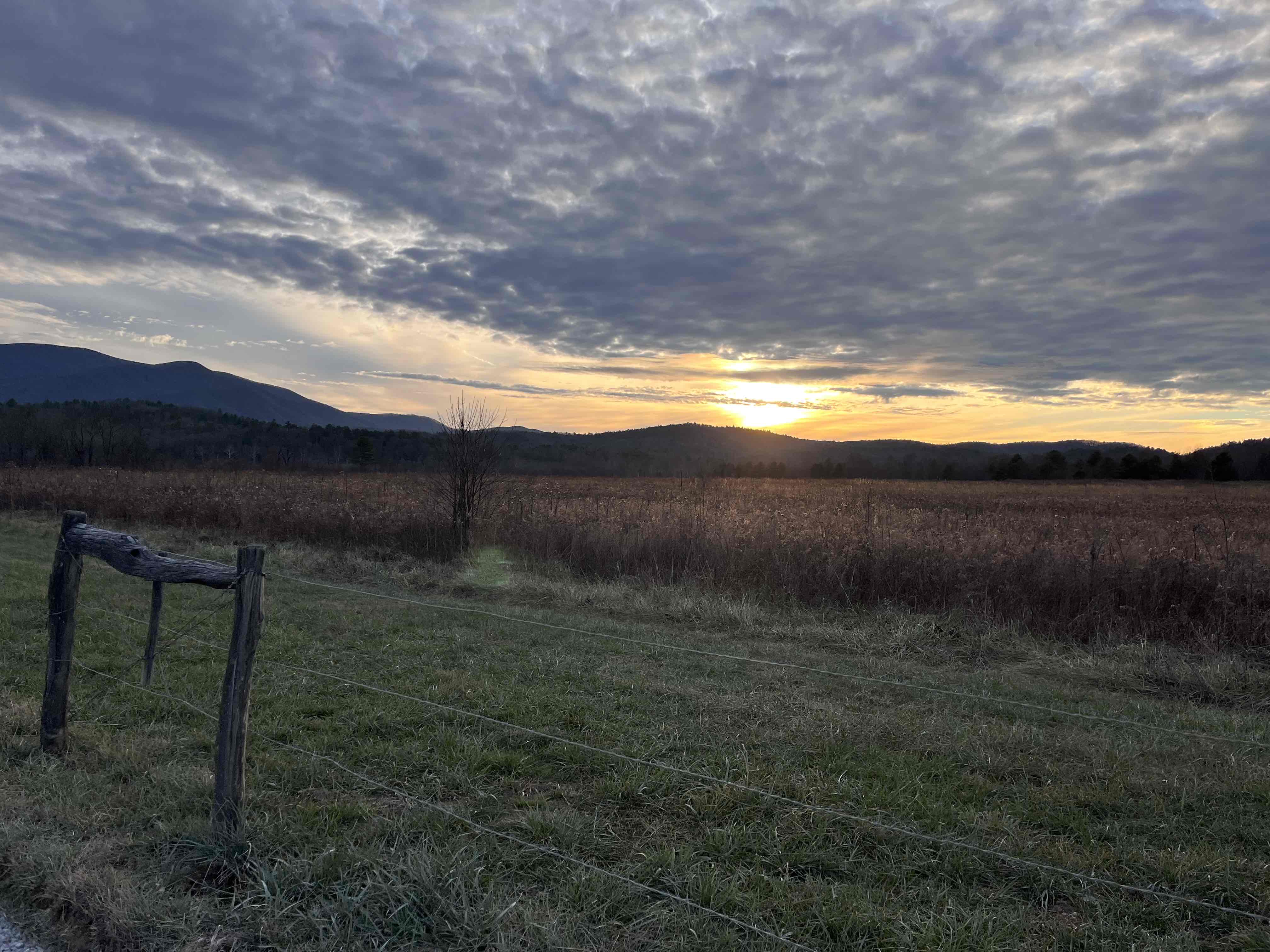 Cade's Cove Loop