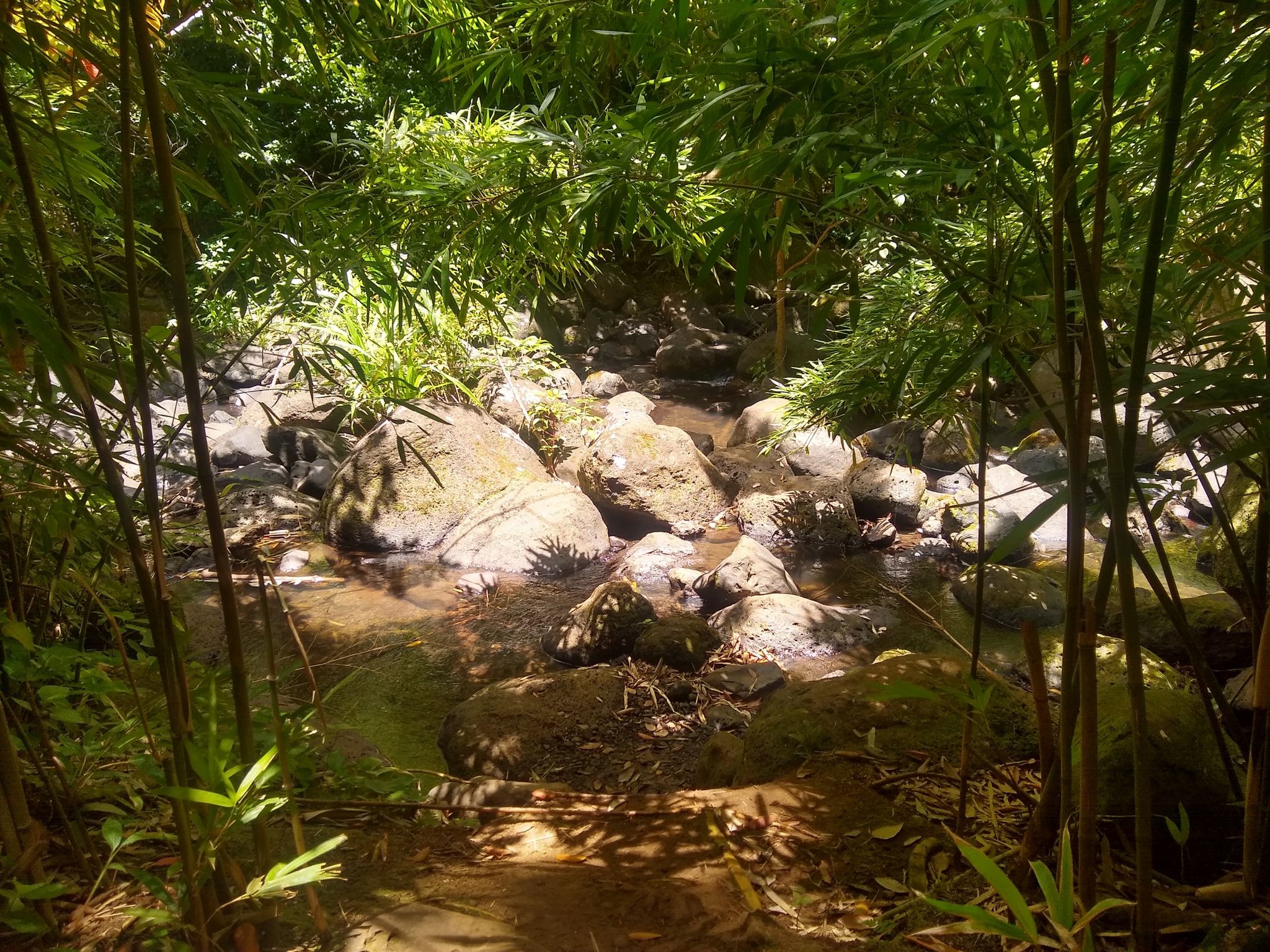 Judd Trail