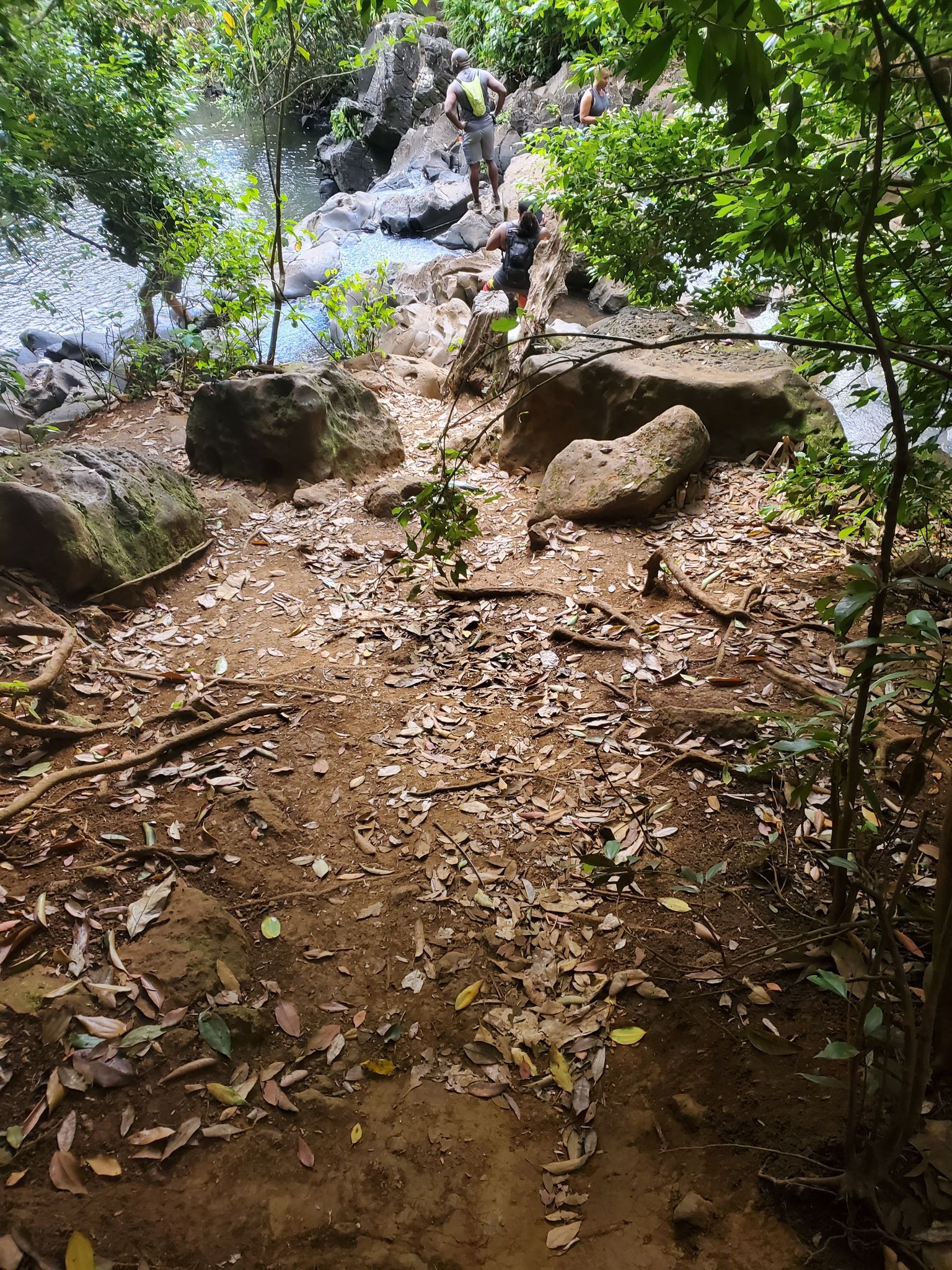 Judd Trail
