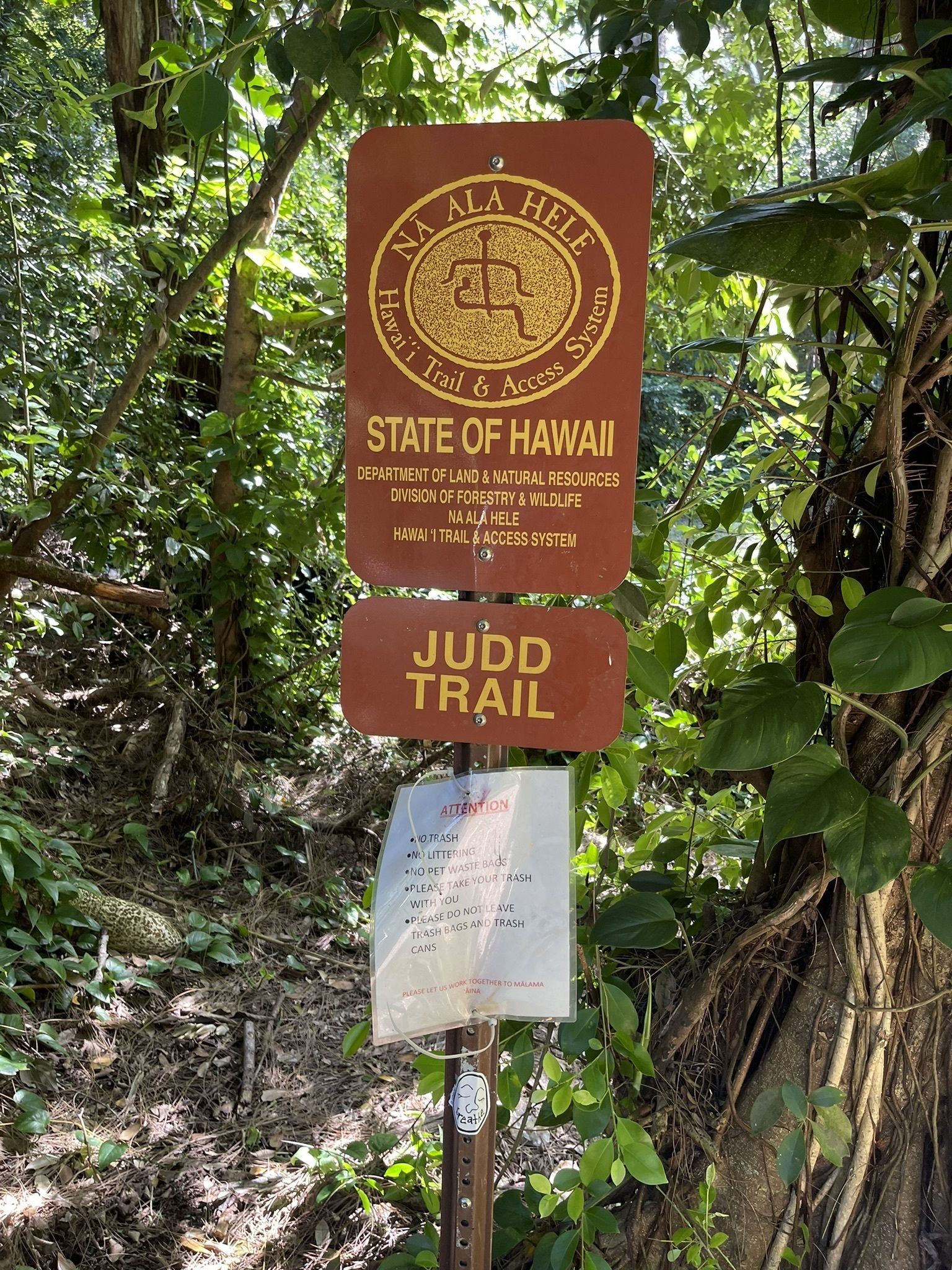 Judd Trail