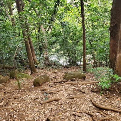 Judd Trail