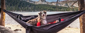 Proview: ENO TravelNest Hammock & Straps
