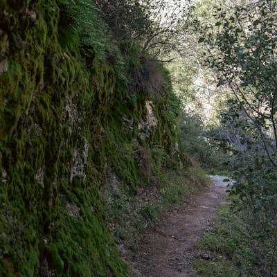 Gabrieleno Trail: Switzer Falls to Hahamonga Watershed
