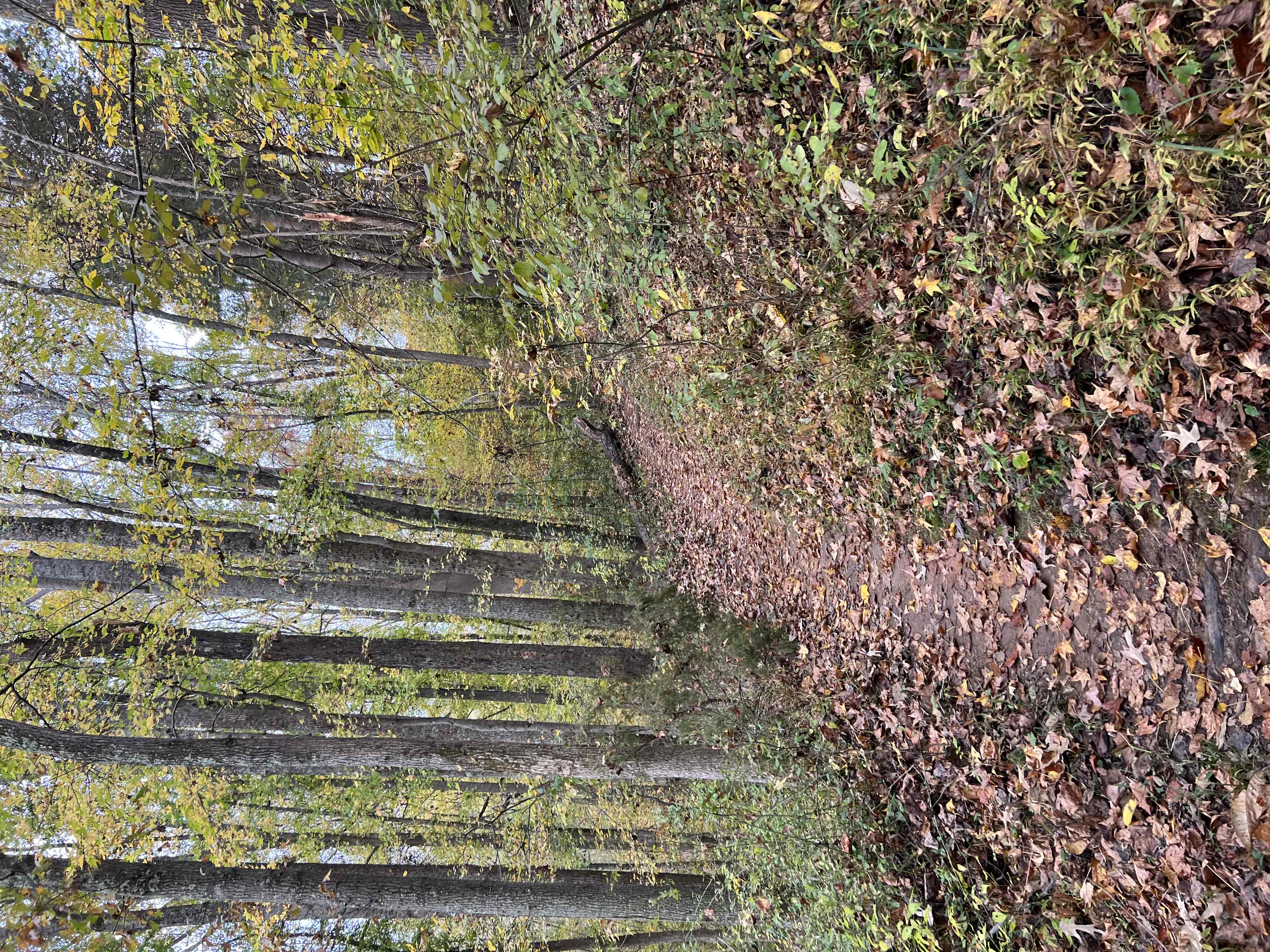 Pleasant Grove Park: Heritage Trail and Beach Grove Loop