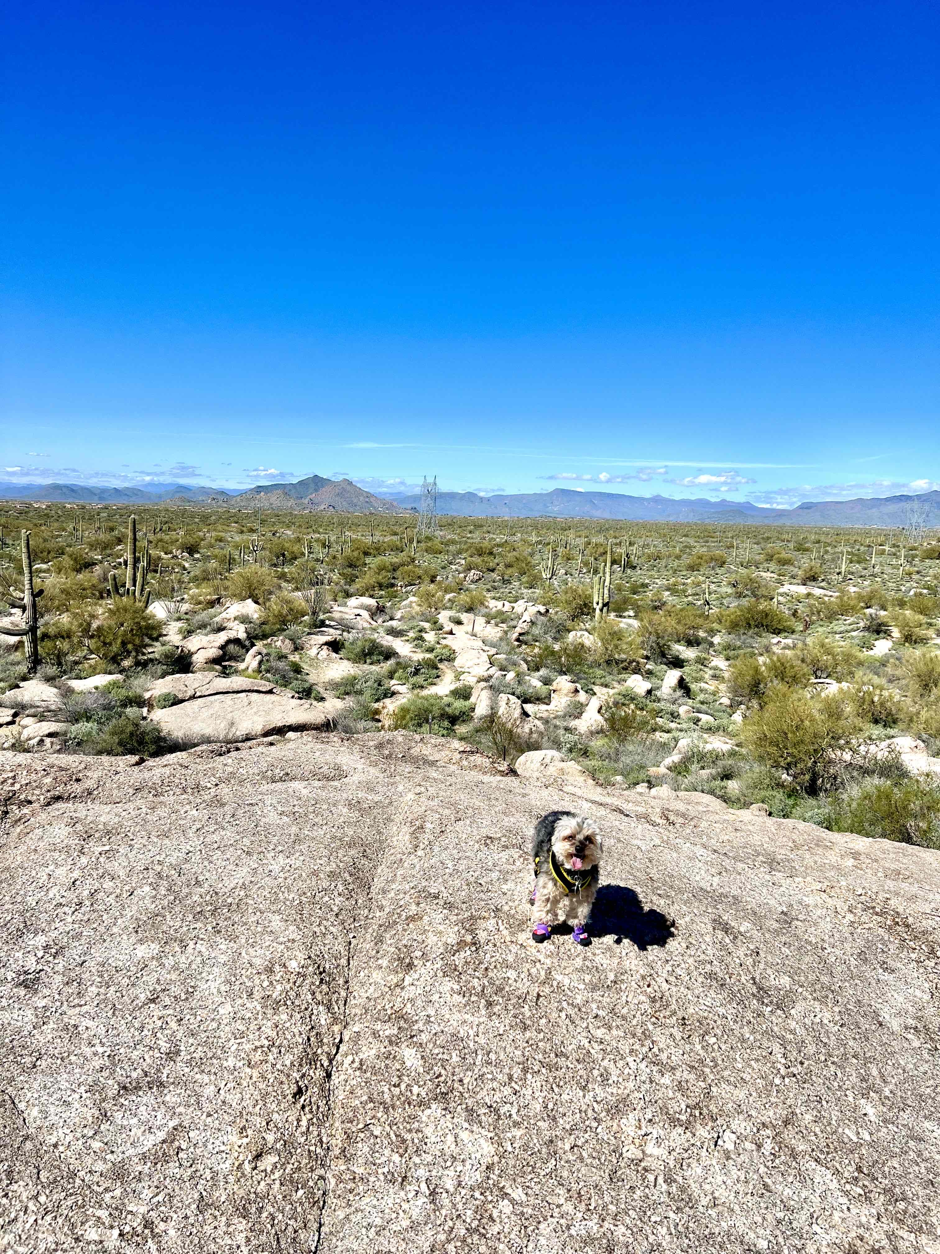 Pinnacle Peak Trail