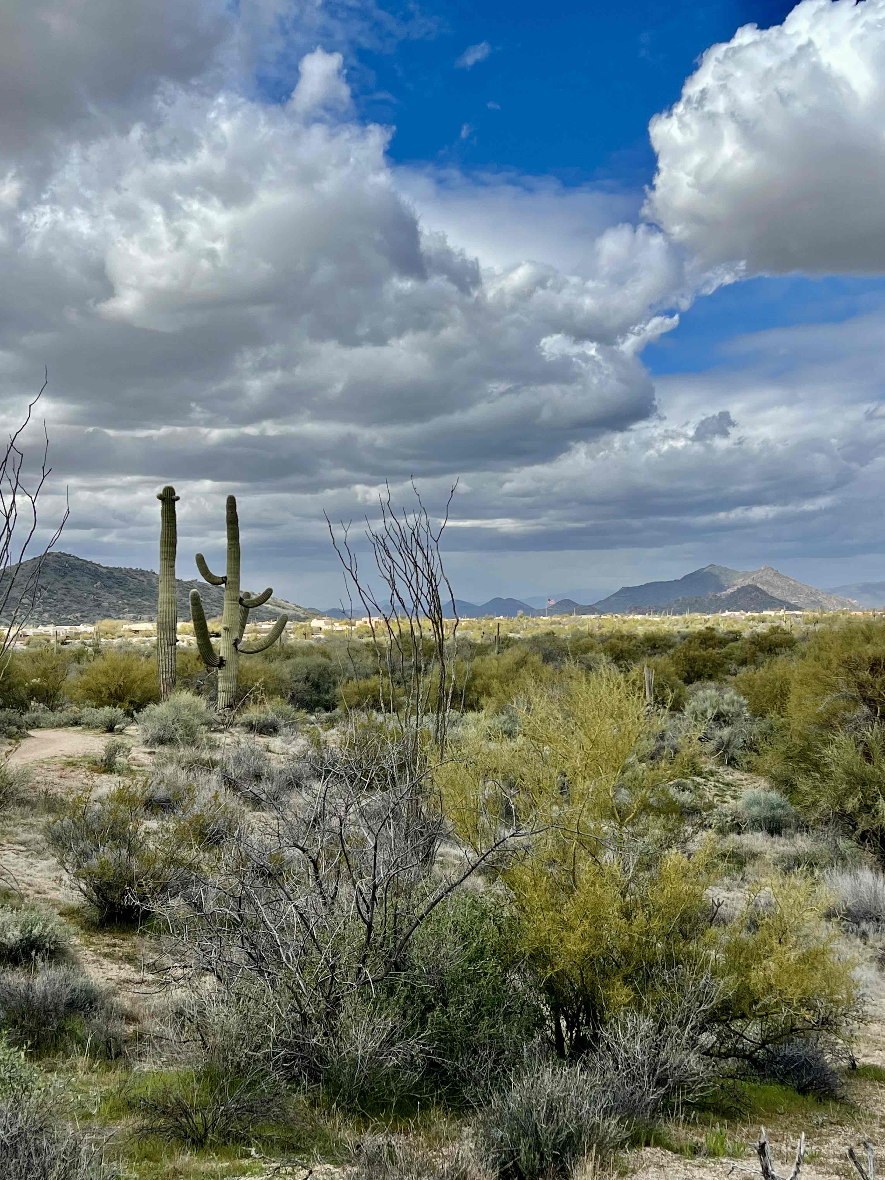Pinnacle Peak Trail