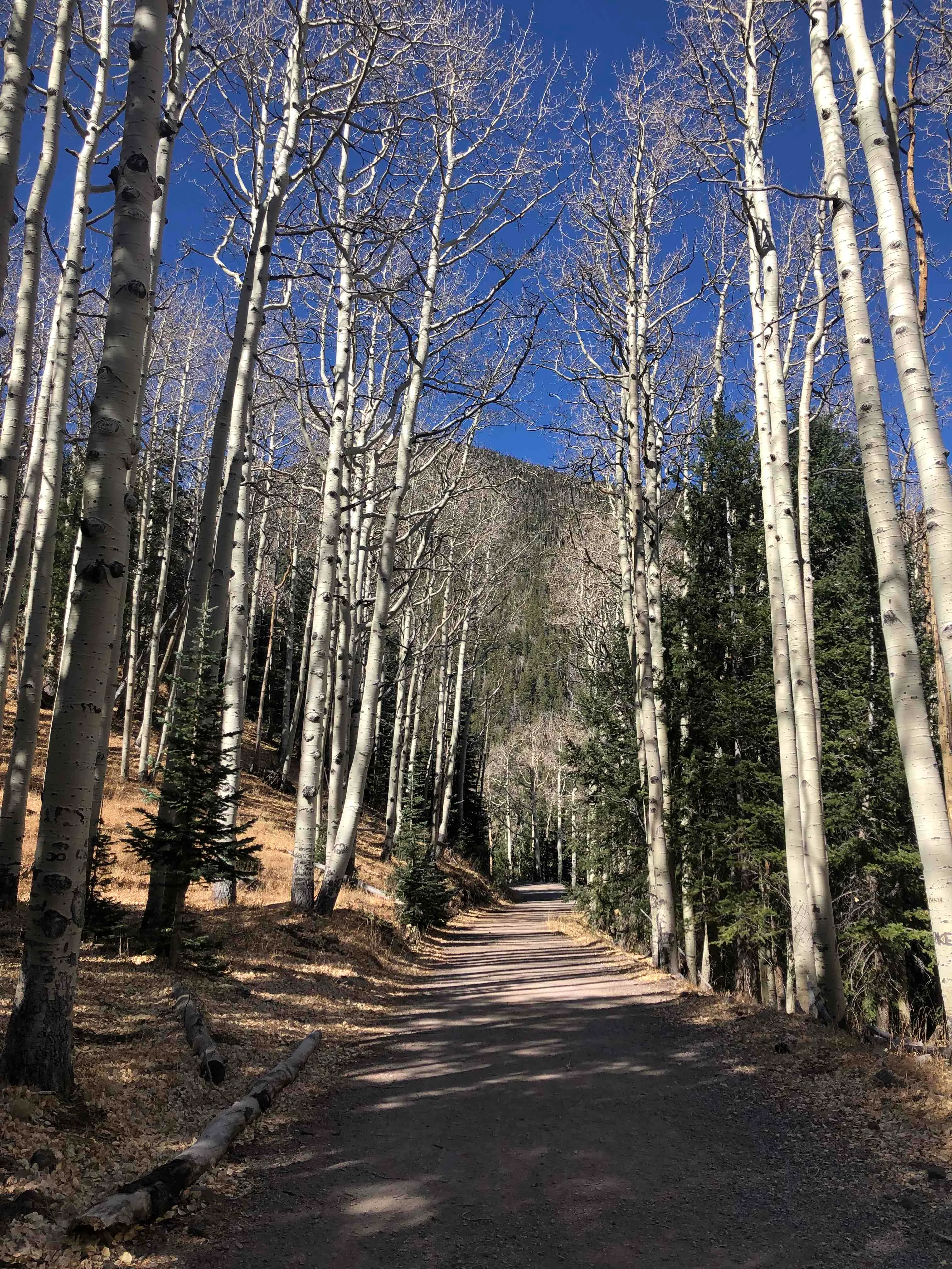 Hike Inner Basin Trail #29