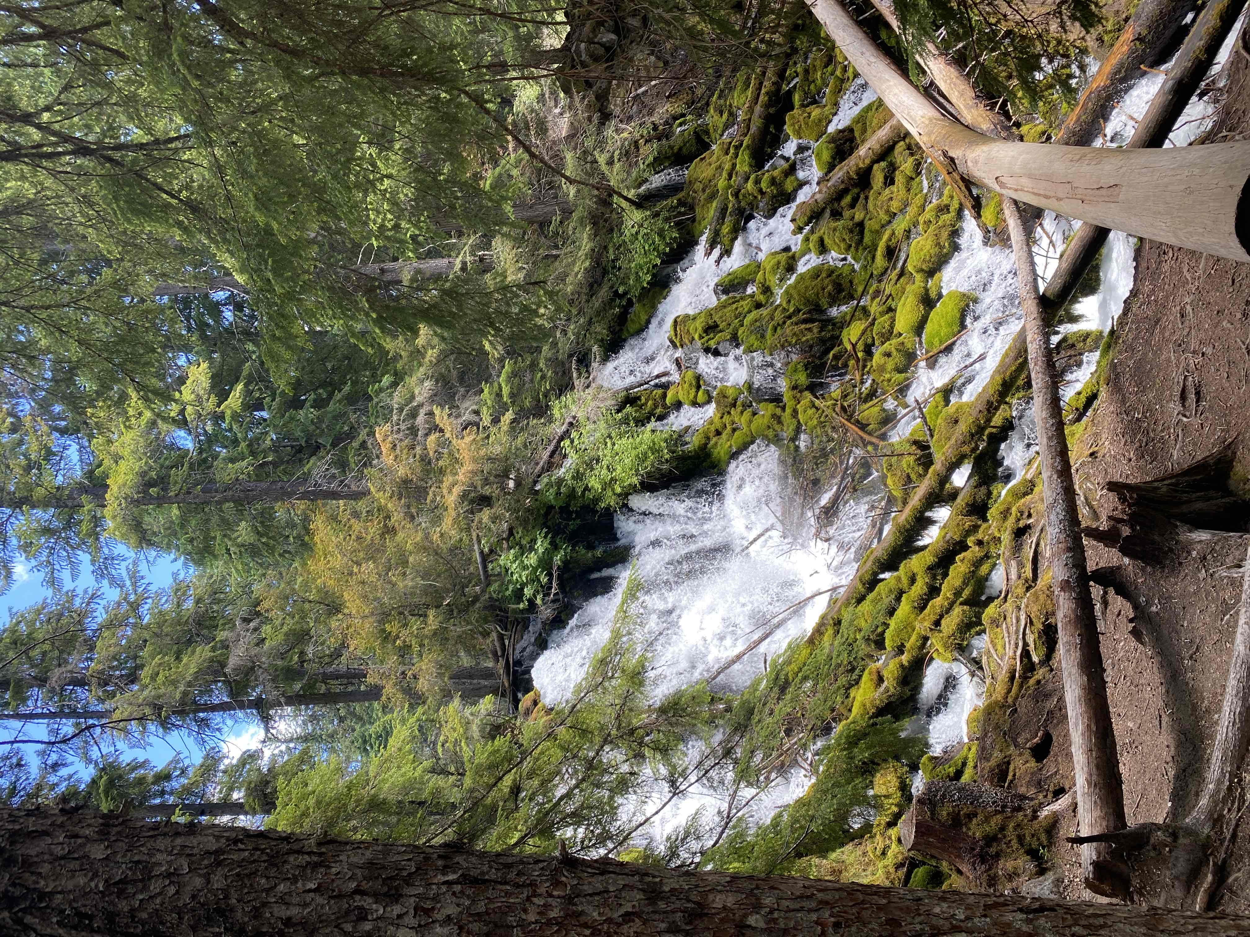 Sippo Valley Trail