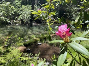 Sippo Valley Trail