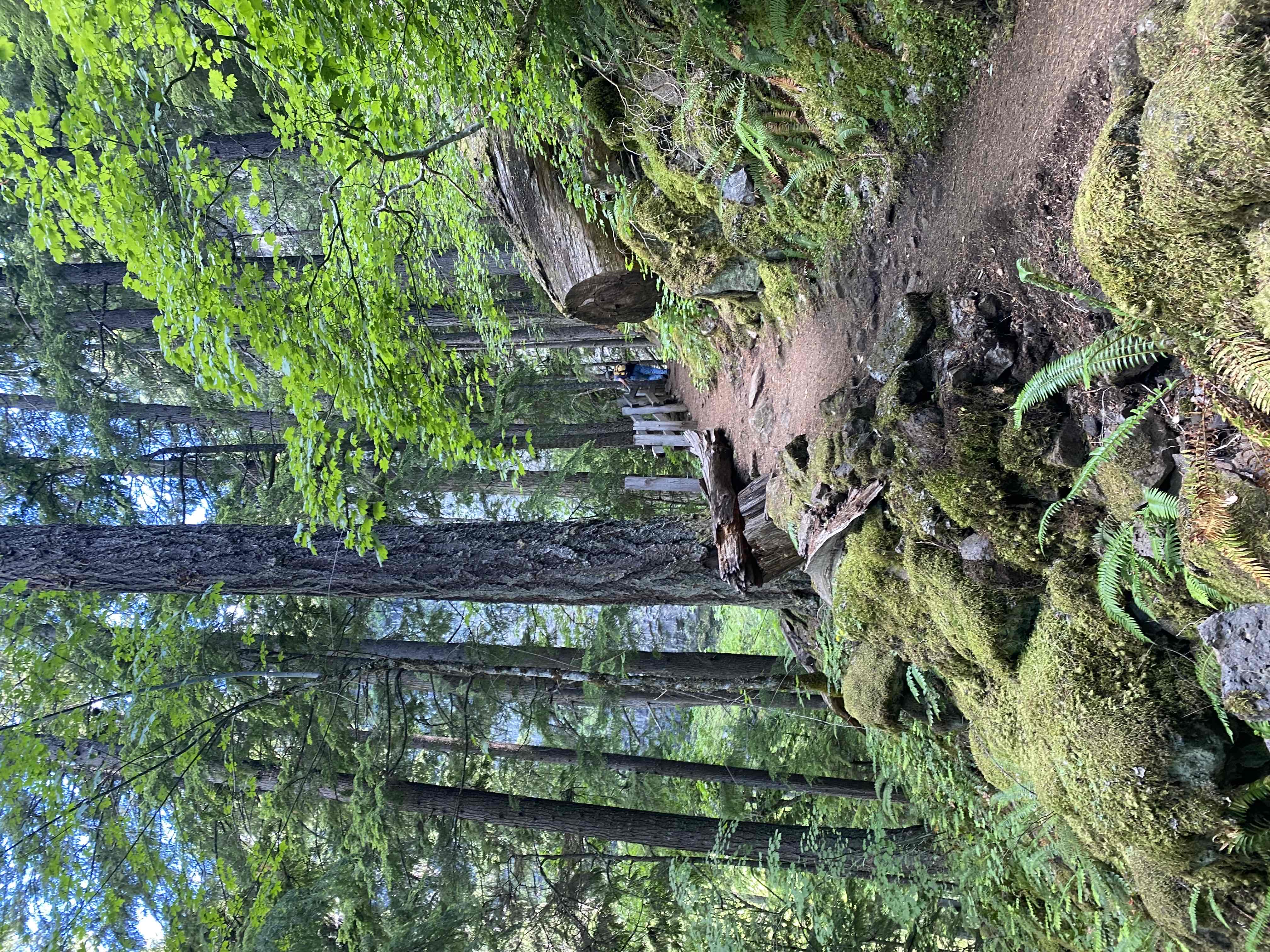 Sippo Valley Trail