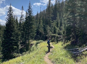 French Pass Trail