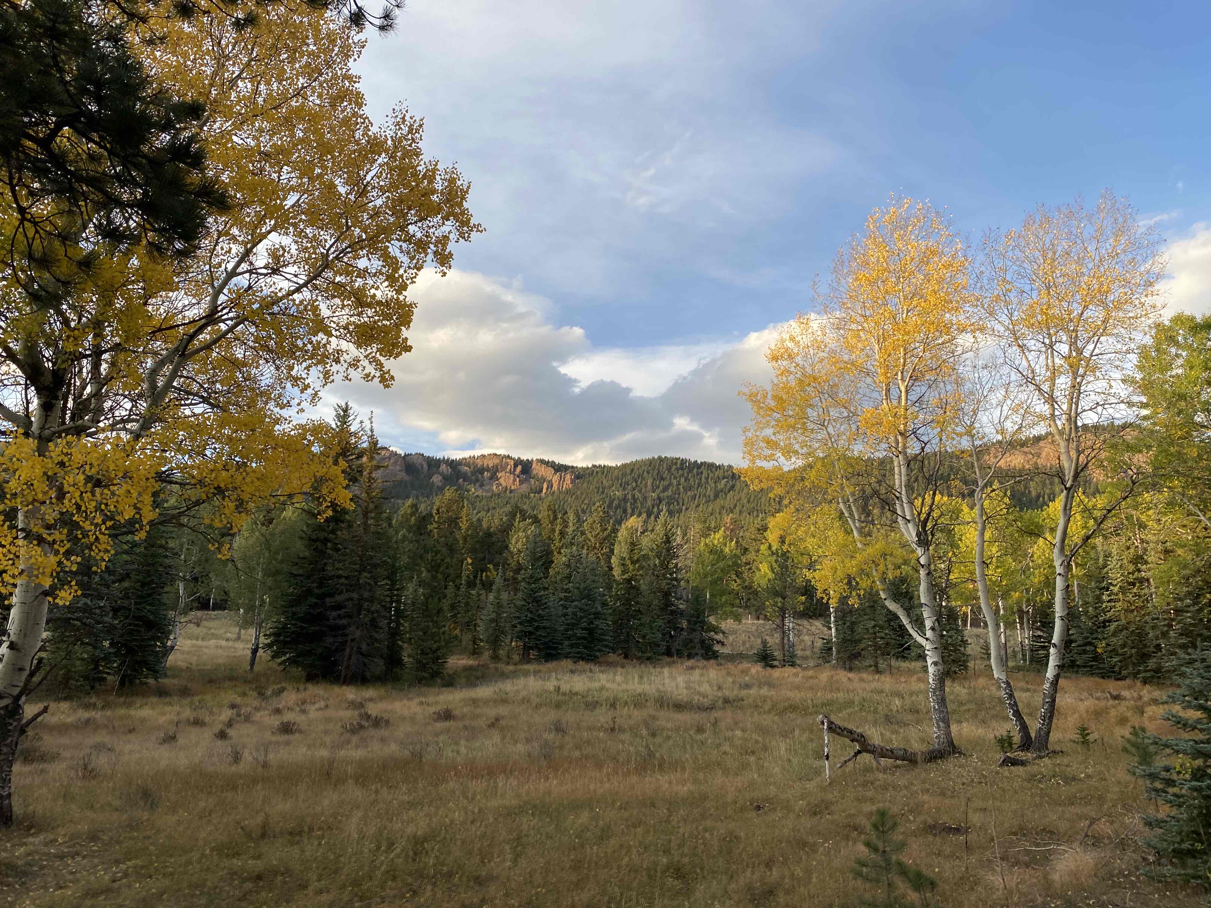 Davis Ponds Trail