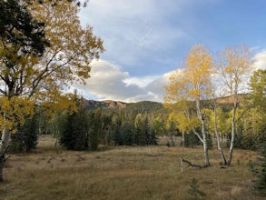 Davis Ponds Trail