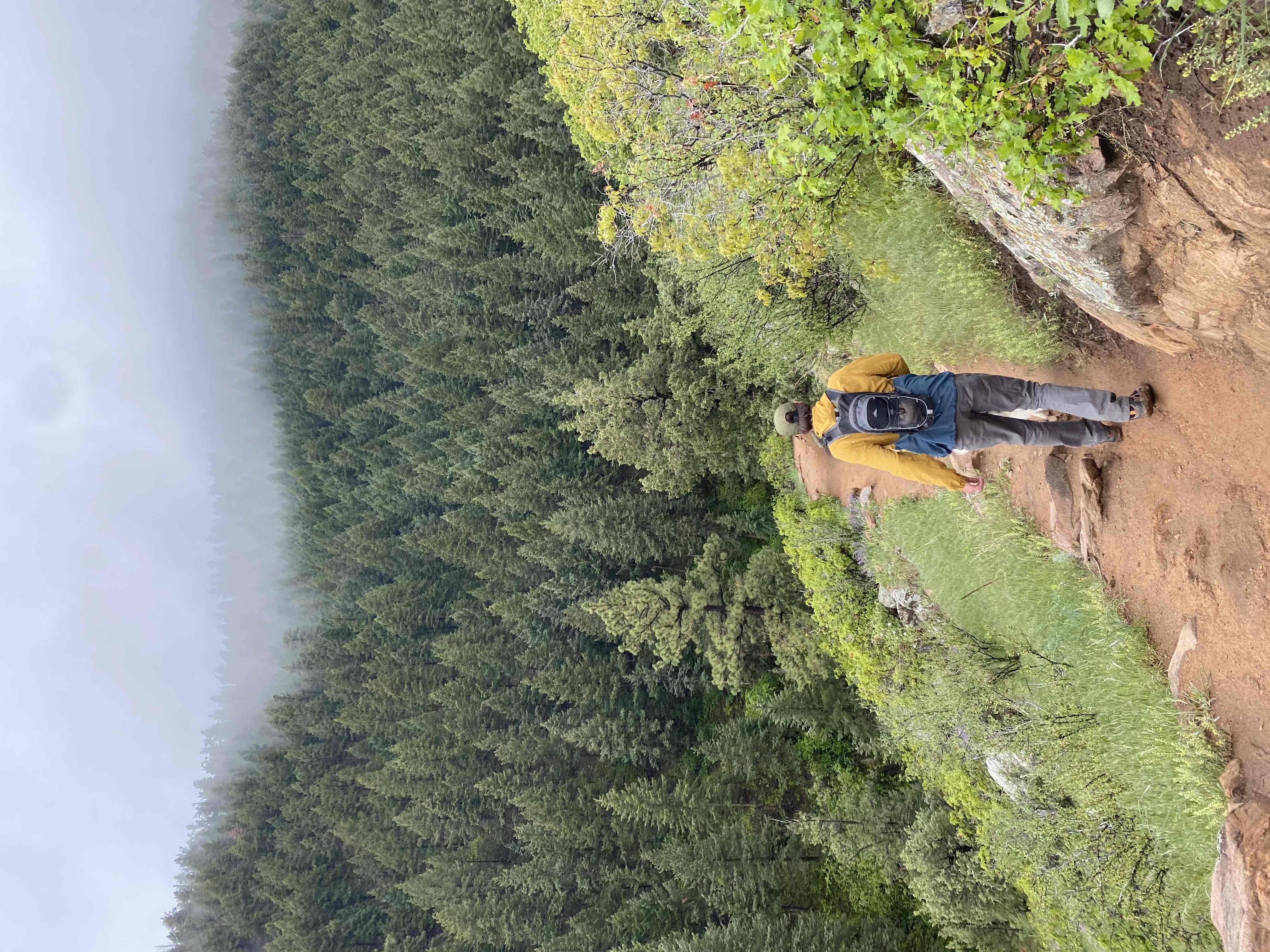 Golden Eagle Trail to Bill Couch Mountain